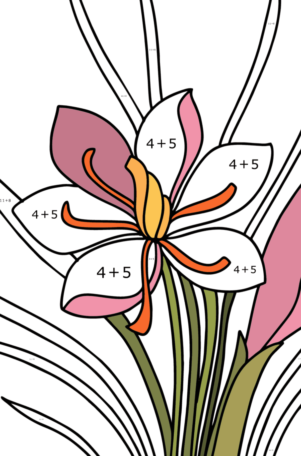 Dibujo de Azafrán para colorear - Colorear con Matemáticas - Sumas para Niños