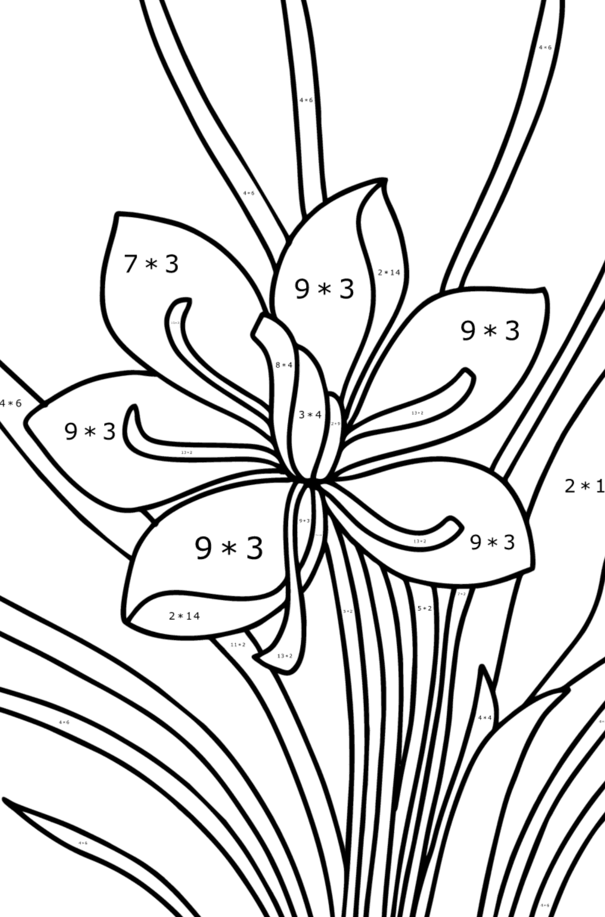 Tegning til farvning Krokus - Matematisk farvelægning side -- Multiplikation for børn