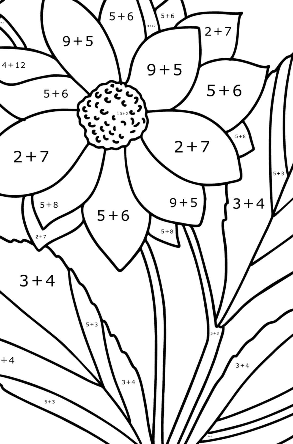 Dahlias coloring page - Math Coloring - Addition for Kids