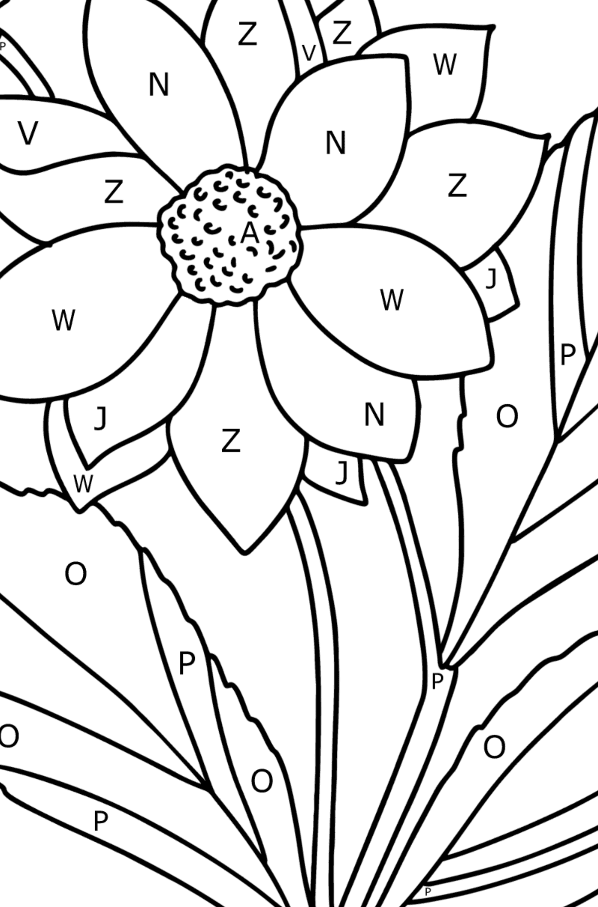 Dahlias coloring page - Coloring by Letters for Kids