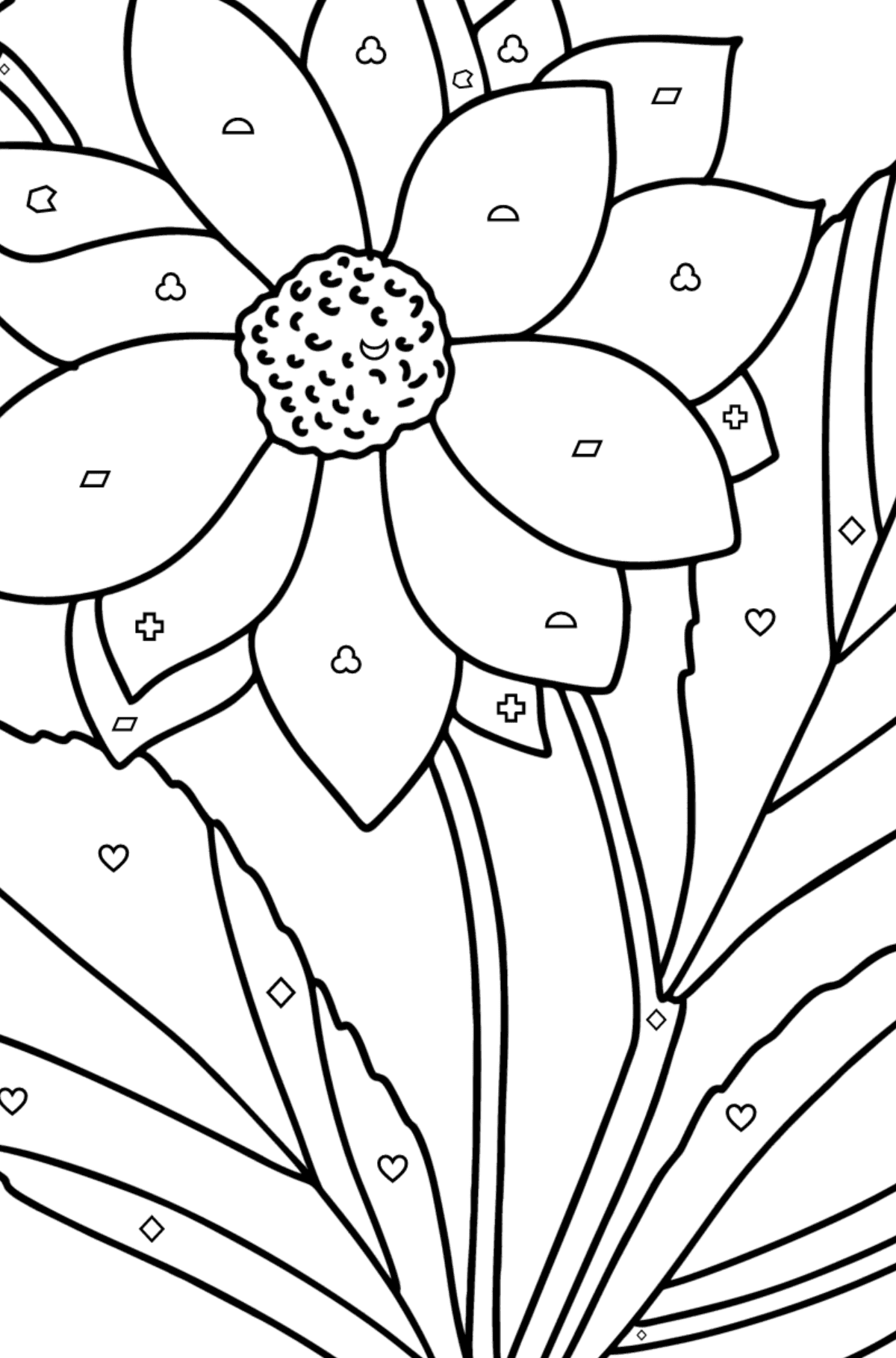 Dahlias coloring page - Coloring by Geometric Shapes for Kids
