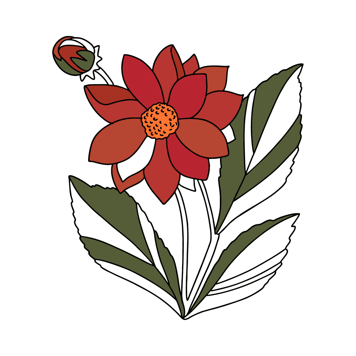NUEVO