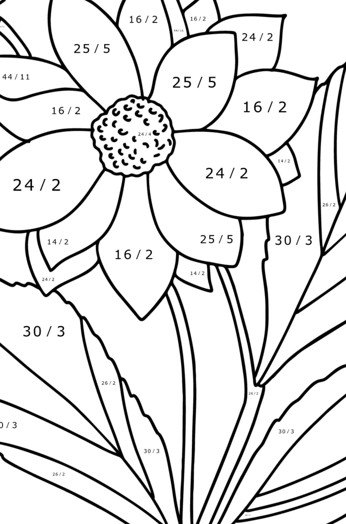 Dahlias coloring page - Math Coloring - Division for Kids