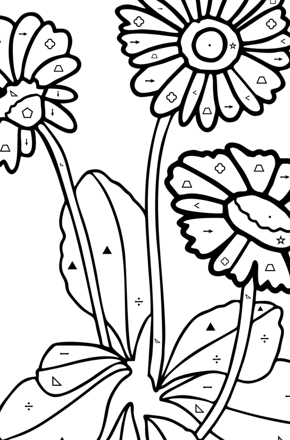 Daisy coloring page - Coloring by Symbols and Geometric Shapes for Kids