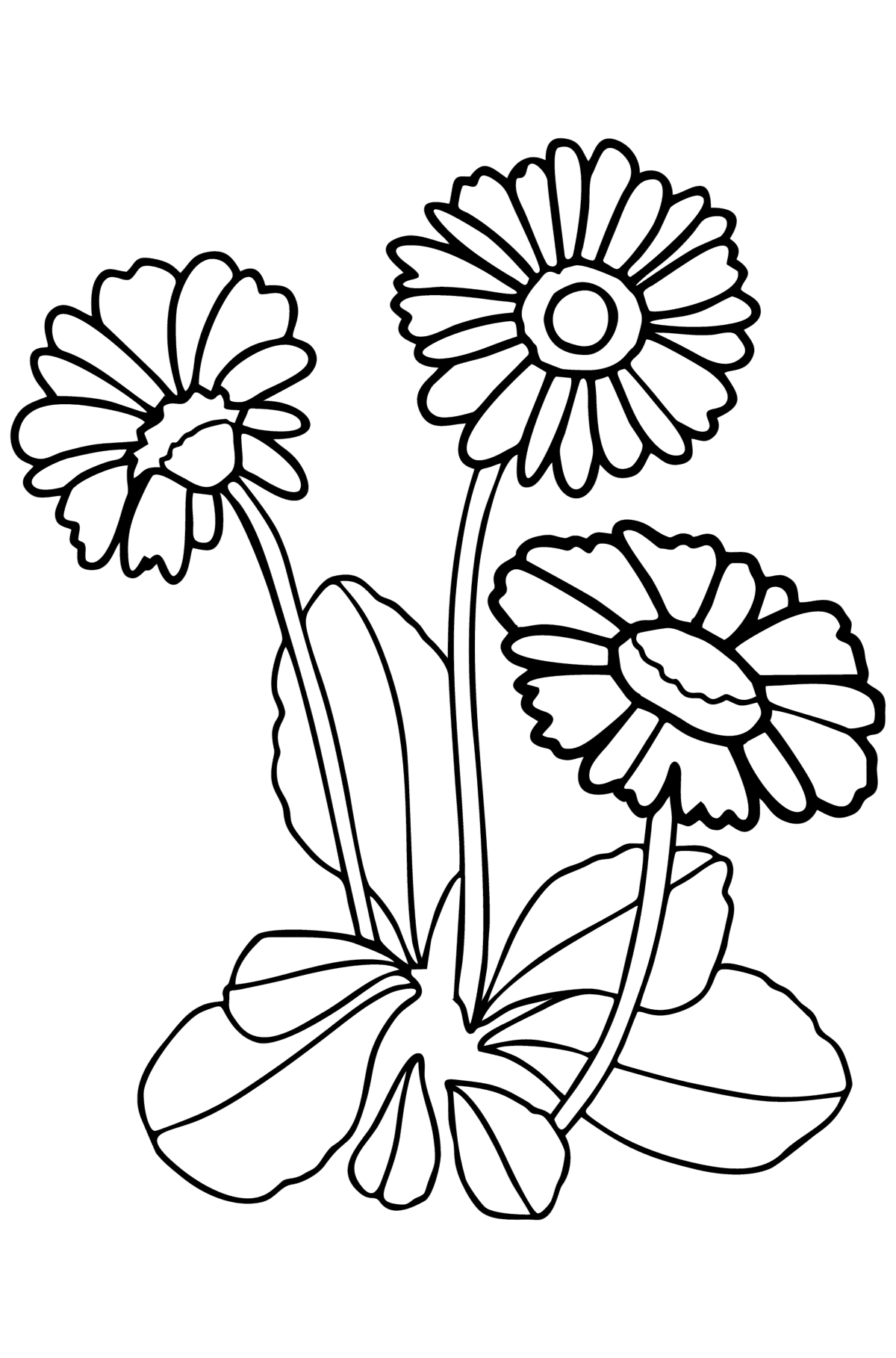 Daisy coloring page - Coloring Pages for Kids