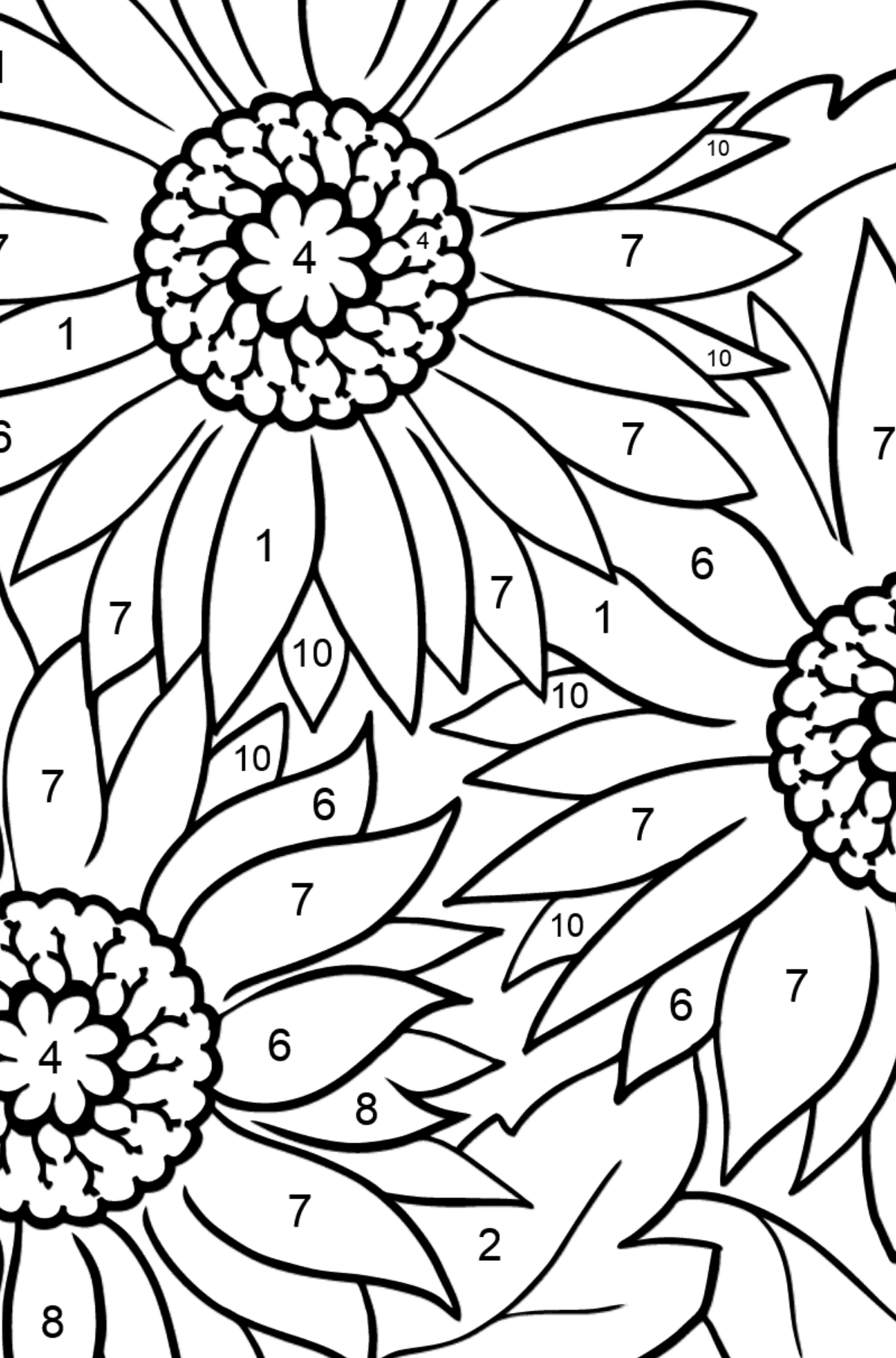 Tegning til farvning Gerbera blomst (vanskeligt) - Farvelægning side af tallene for børn