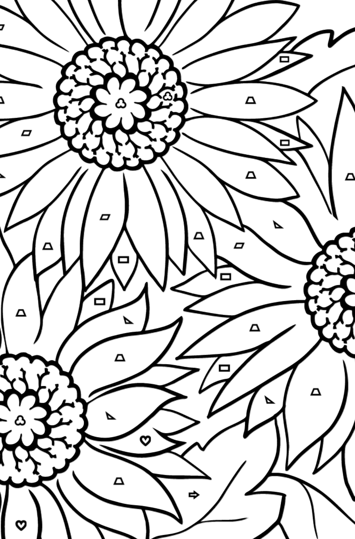Tegning til farvning Gerbera blomst (vanskeligt) - Farvelægning af geometriske figurer for børn