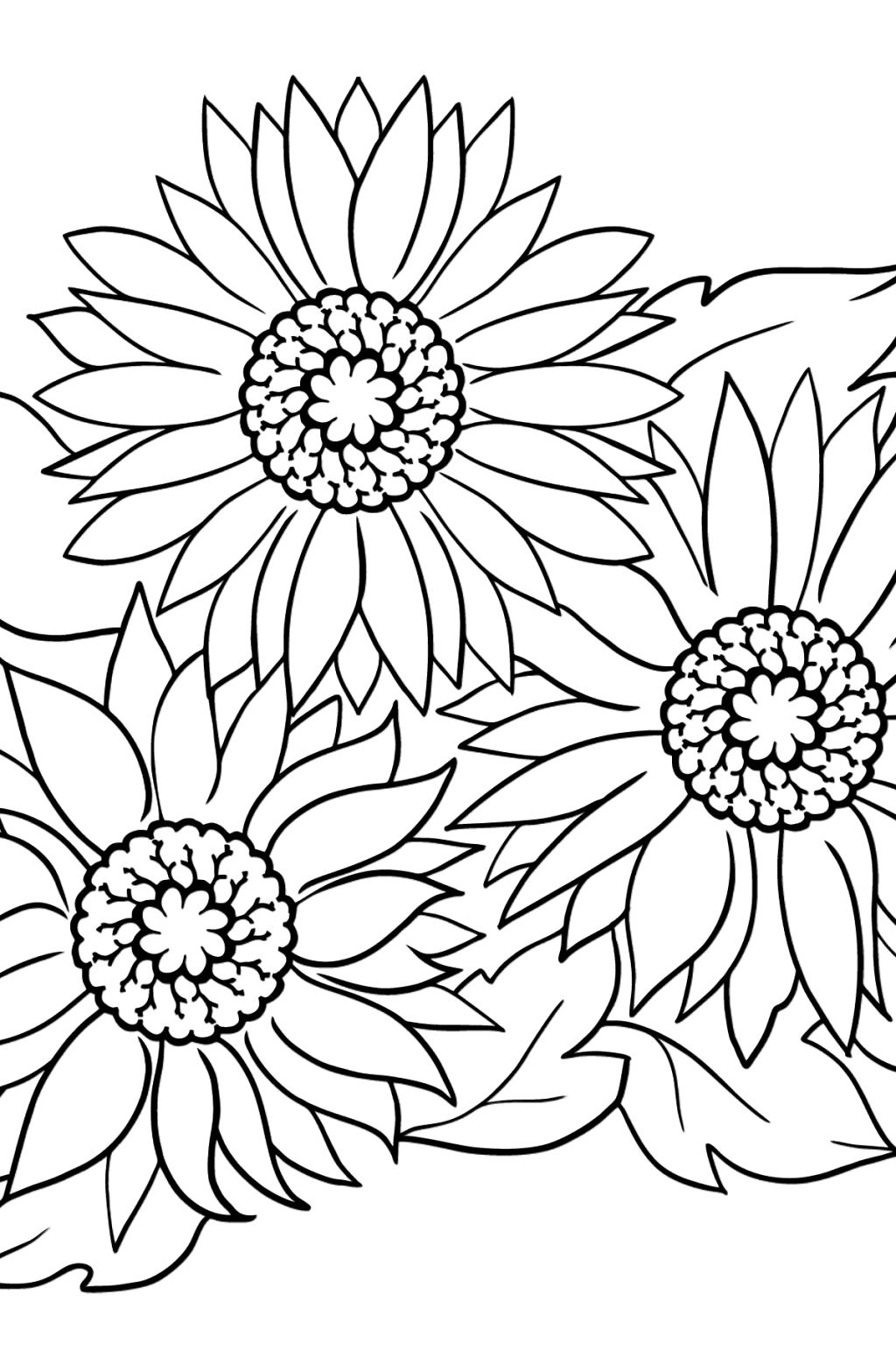 Blue Gerbera Coloring Page ♥ Online and Print for Free!