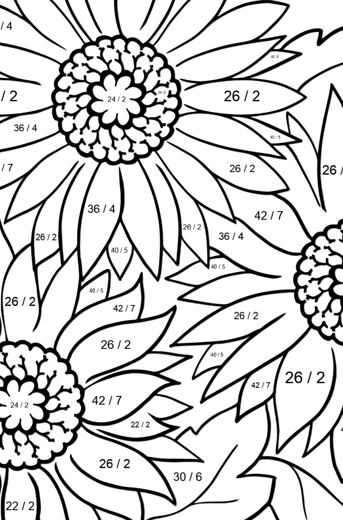 Tegning til farvning Gerbera blomst (vanskeligt) - Matematisk farvelægning side -- Division for børn