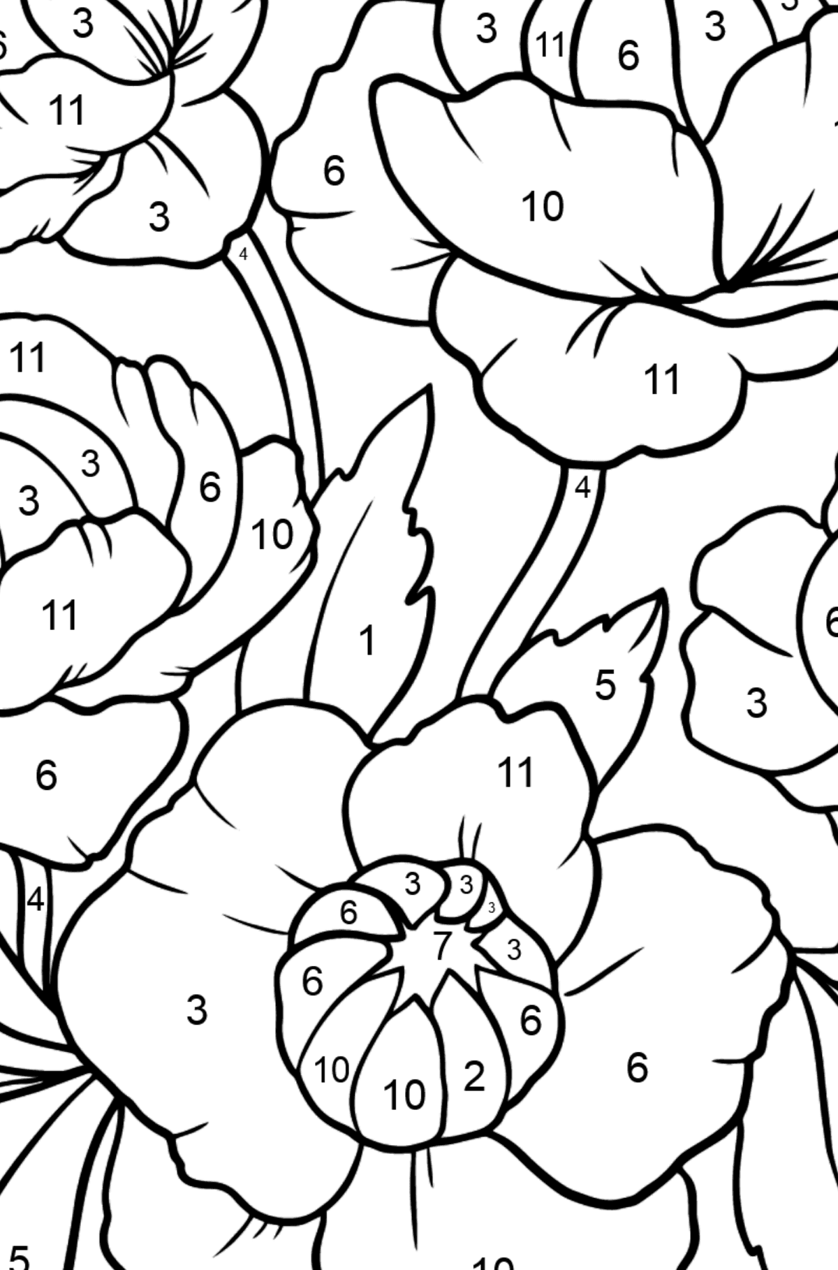 Red Globeflower Coloring Page - Coloring by Numbers for Kids