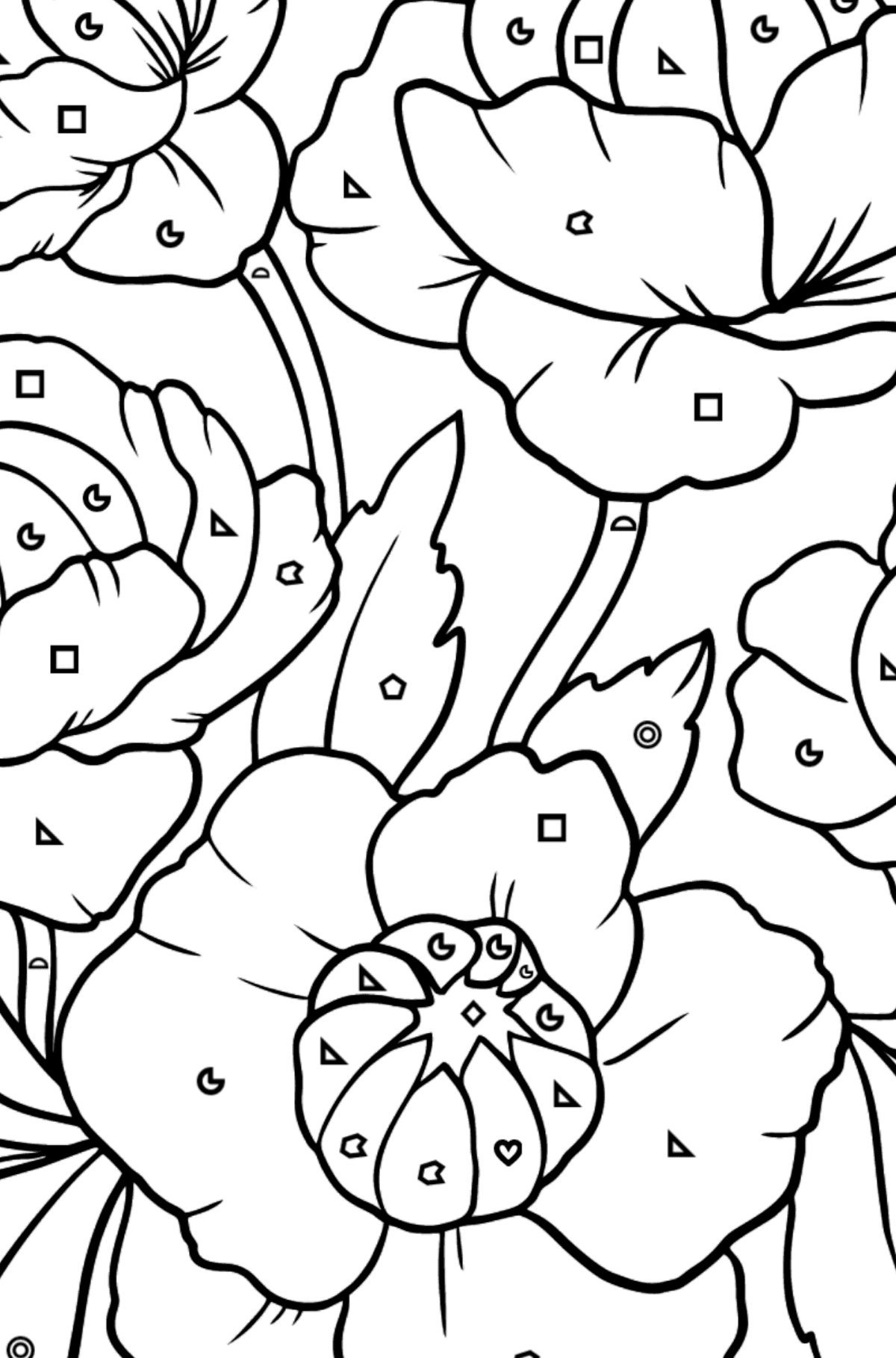 Red Globeflower Coloring Page - Coloring by Geometric Shapes for Kids