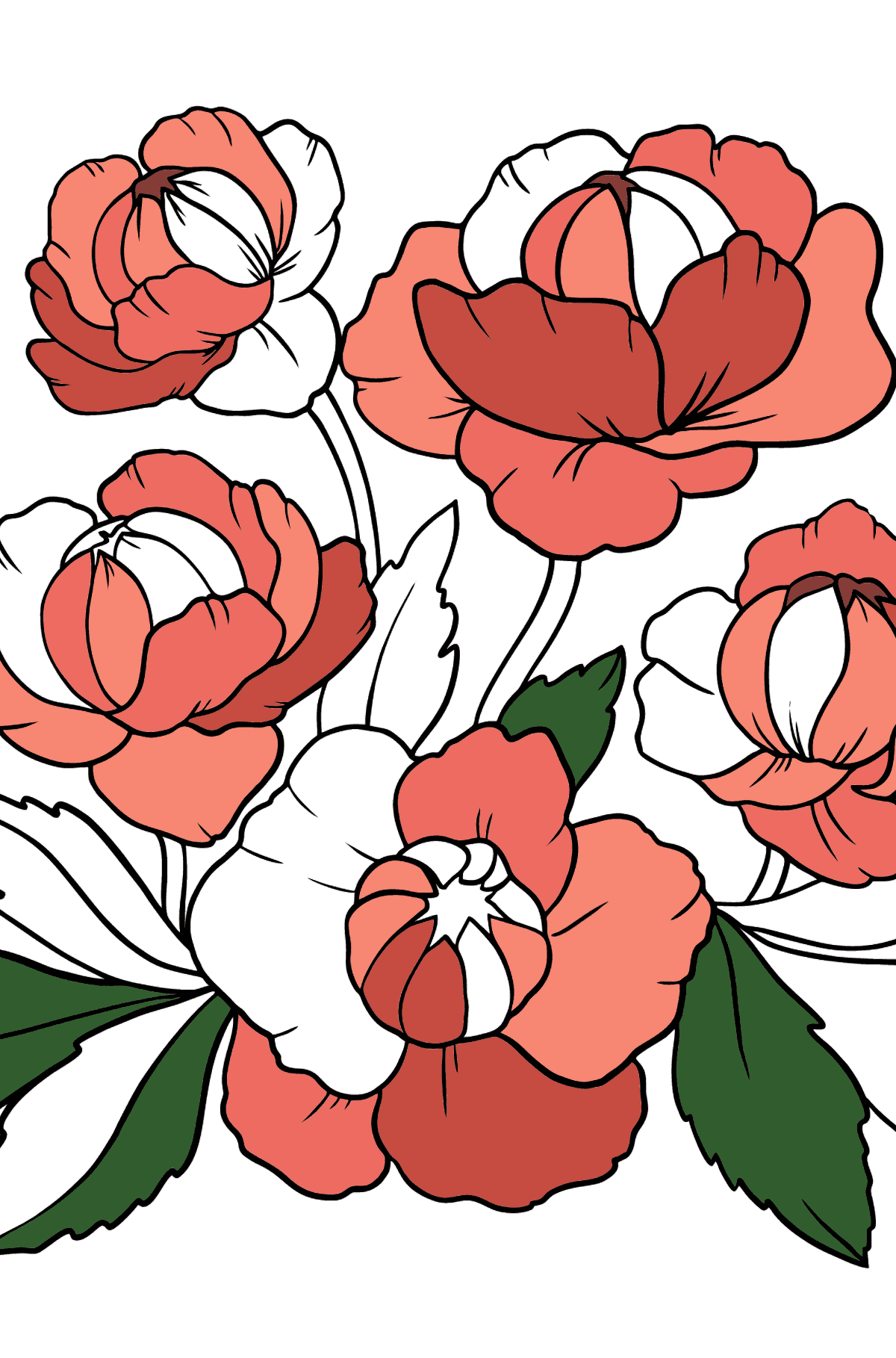Flower Coloring Page - A Globeflower with Dark Red Petals - Coloring Pages for Kids