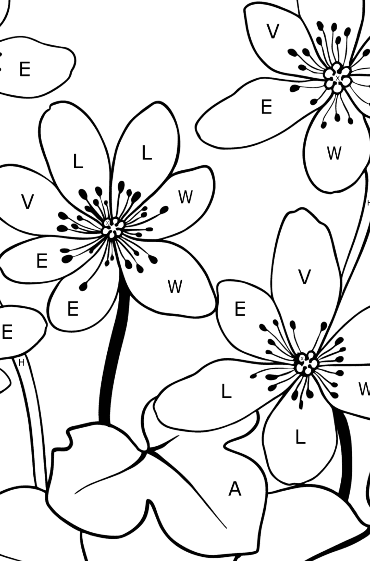 Kleurplaat schattige bloemen (moeilijk) - Kleuren met letters voor kinderen