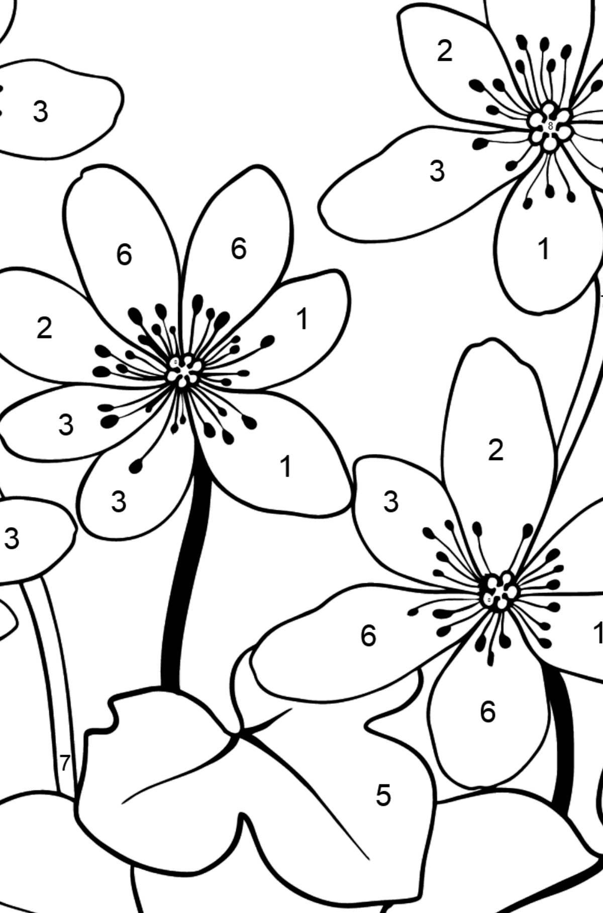 Kleurplaat schattige bloemen (moeilijk) - Kleuren op nummer voor kinderen