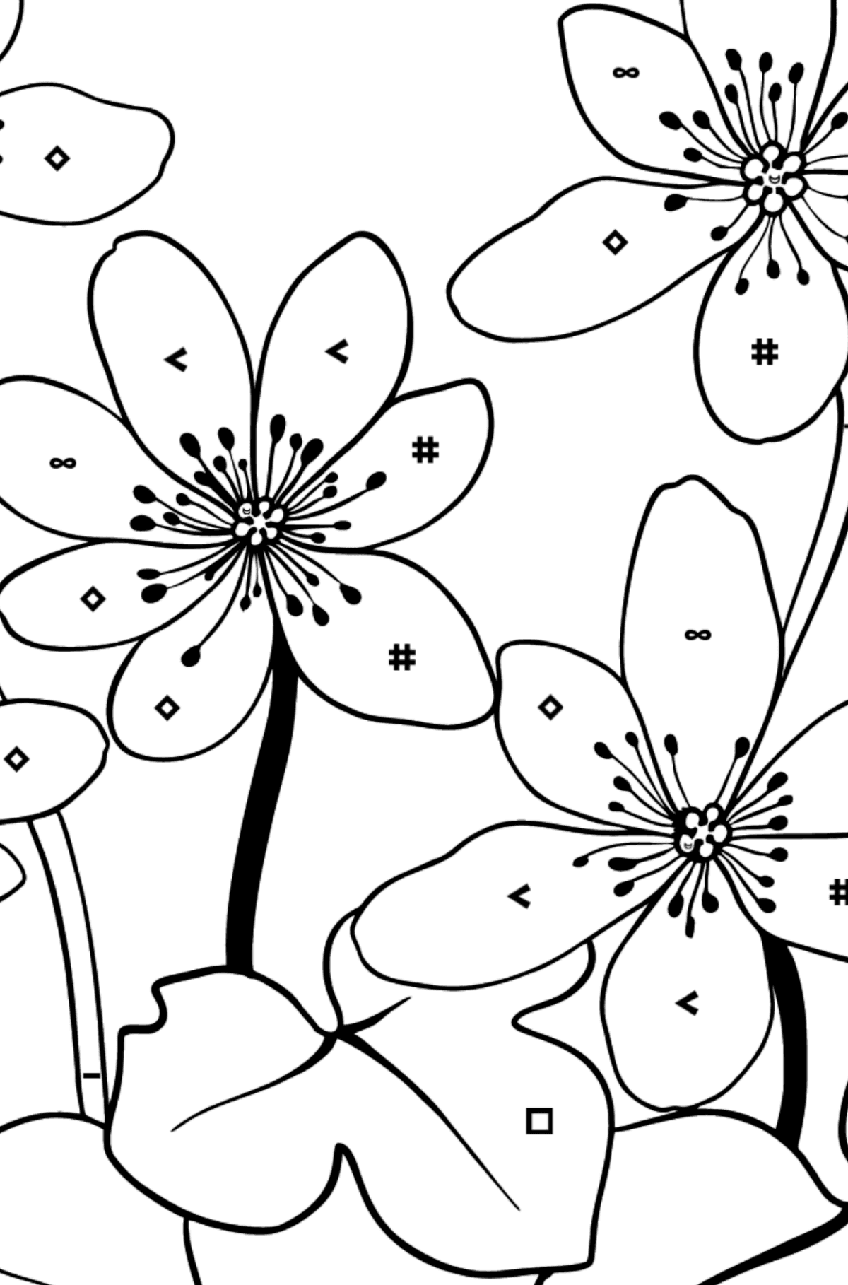 Kleurplaat schattige bloemen (moeilijk) - Kleuren met symbolen voor kinderen