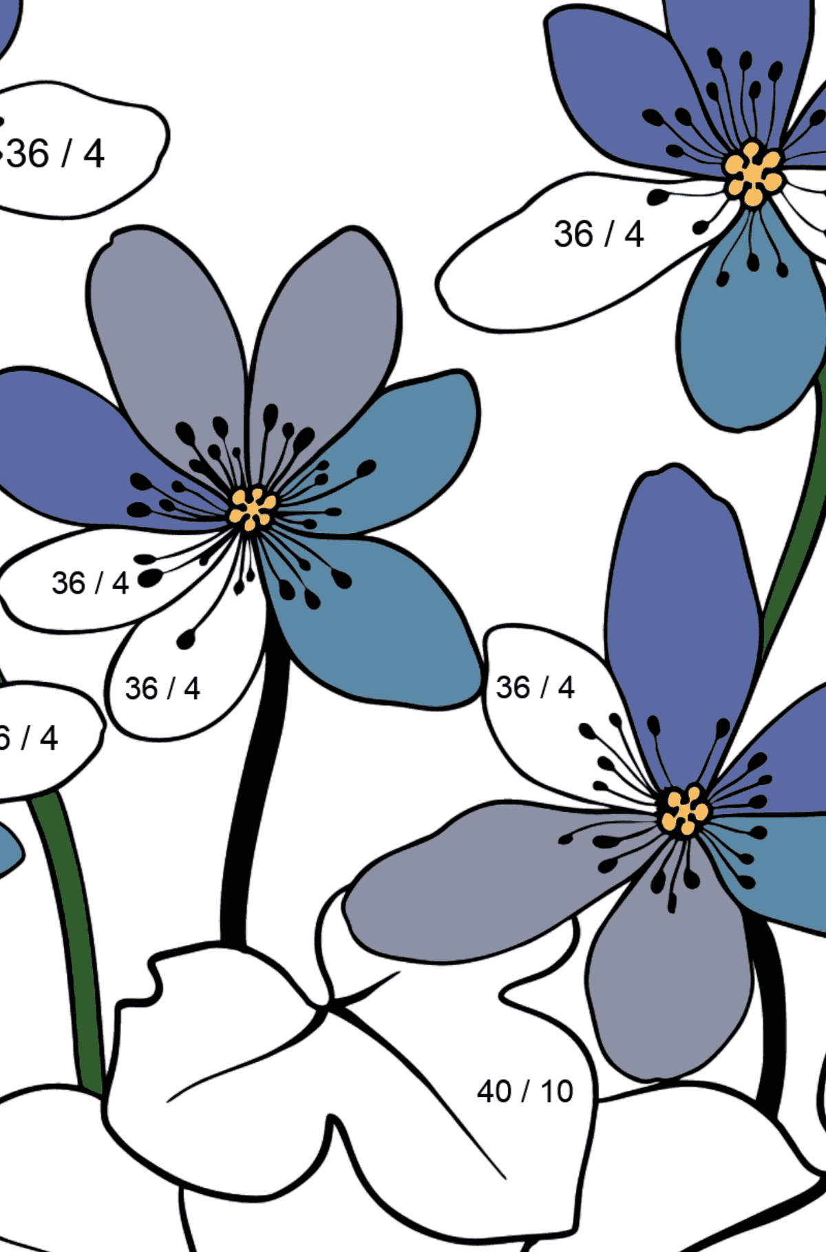 Coloriage Hepatica bleue - Coloriage Magique Division pour les Enfants