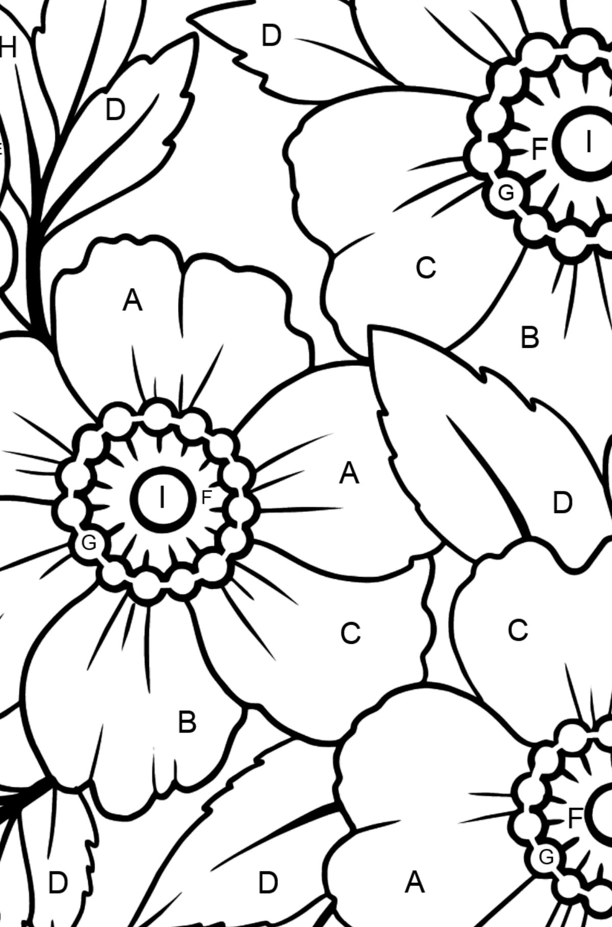 Flower Coloring Page (A4) - A Japanese Anemone with Pink Petals - Coloring by Letters for Kids