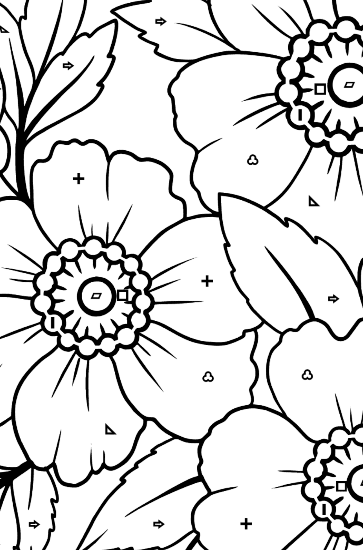 Flower Coloring Page (A4) - A Japanese Anemone with Pink Petals - Coloring by Symbols and Geometric Shapes for Kids