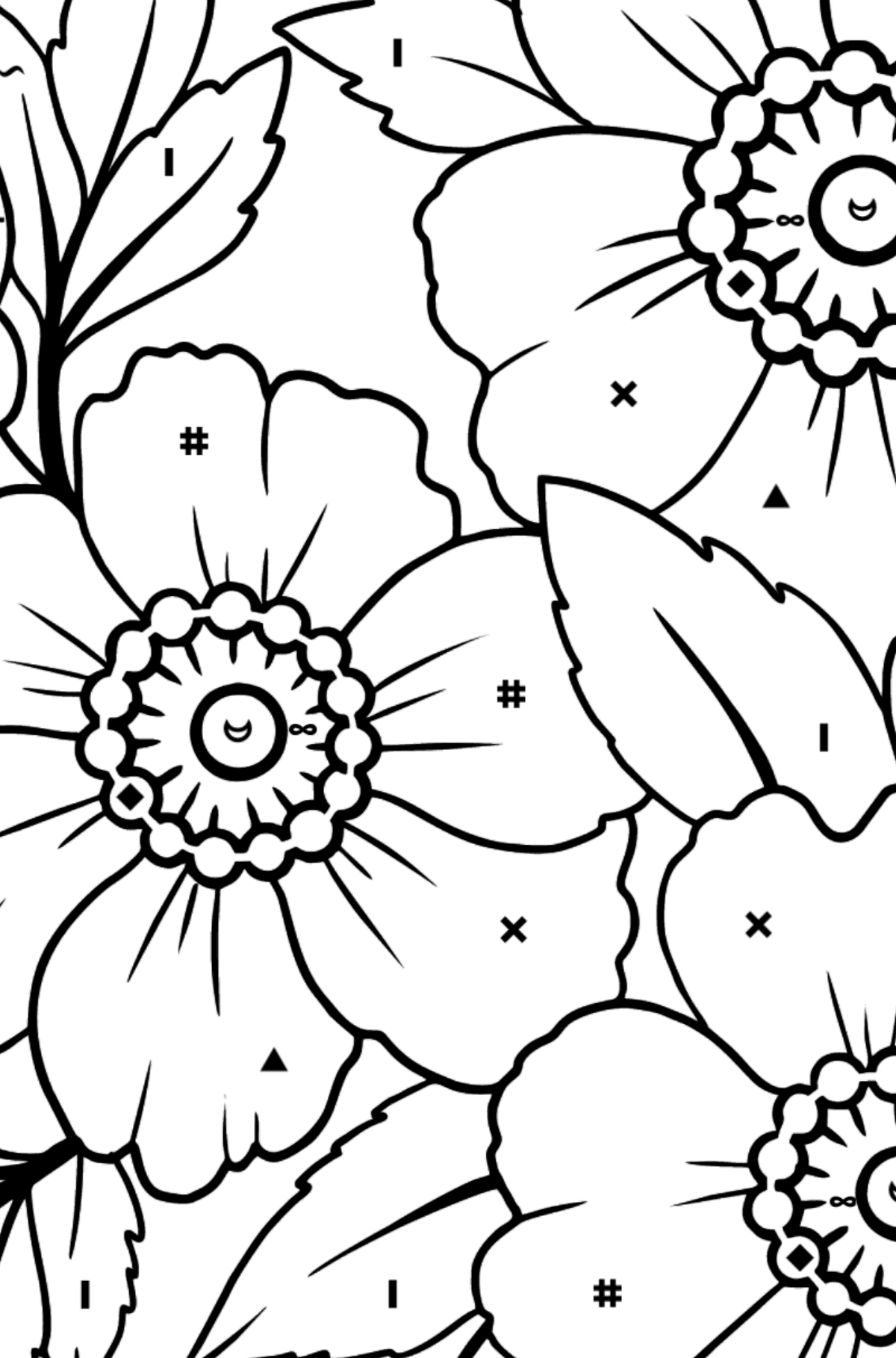 Flower Coloring Page (A4) - A Japanese Anemone with Pink Petals - Coloring by Symbols for Kids