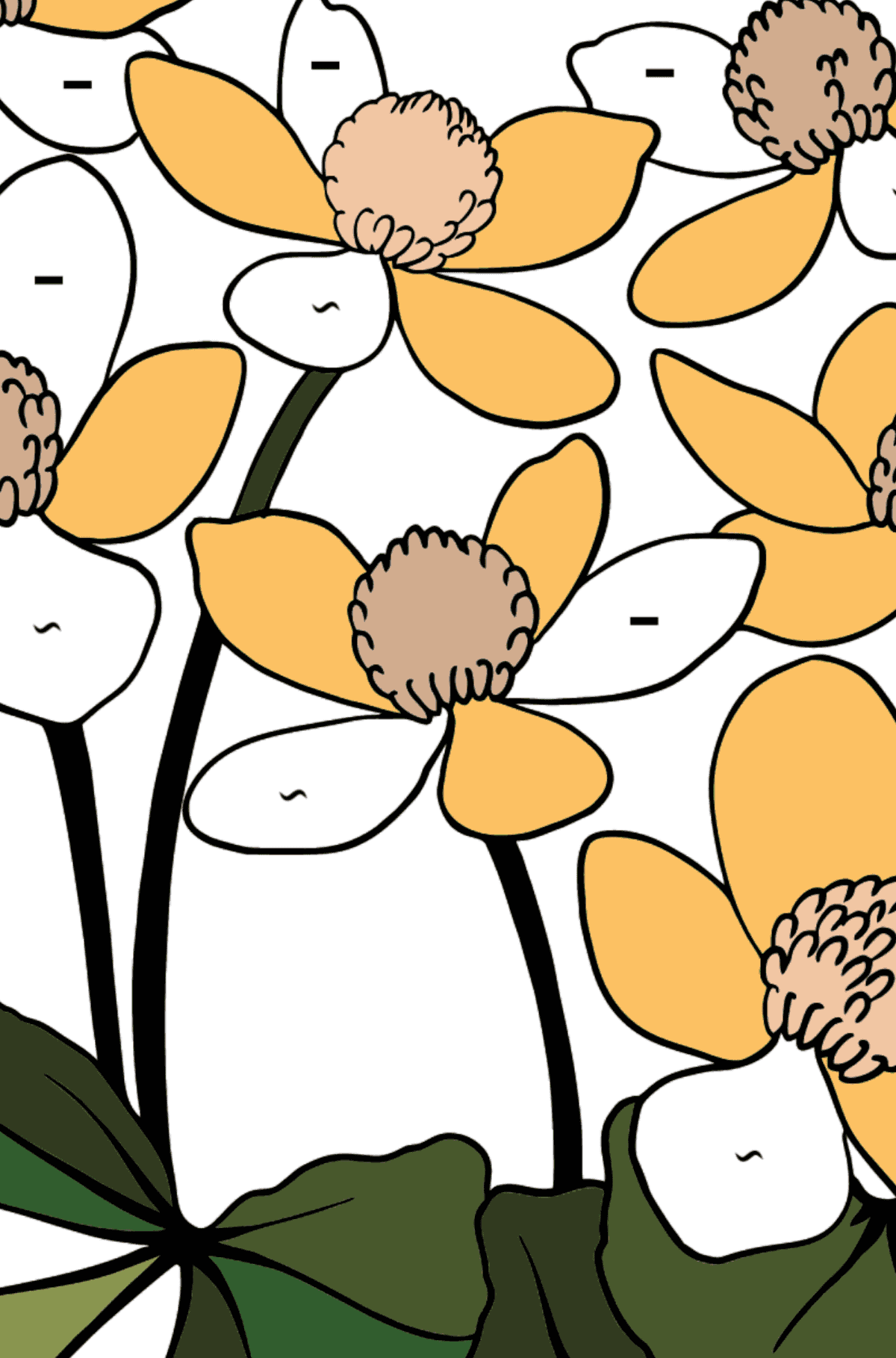 Flower Coloring Page - A Marsh Marigold with Yellow Petals - Coloring by Symbols and Geometric Shapes for Kids