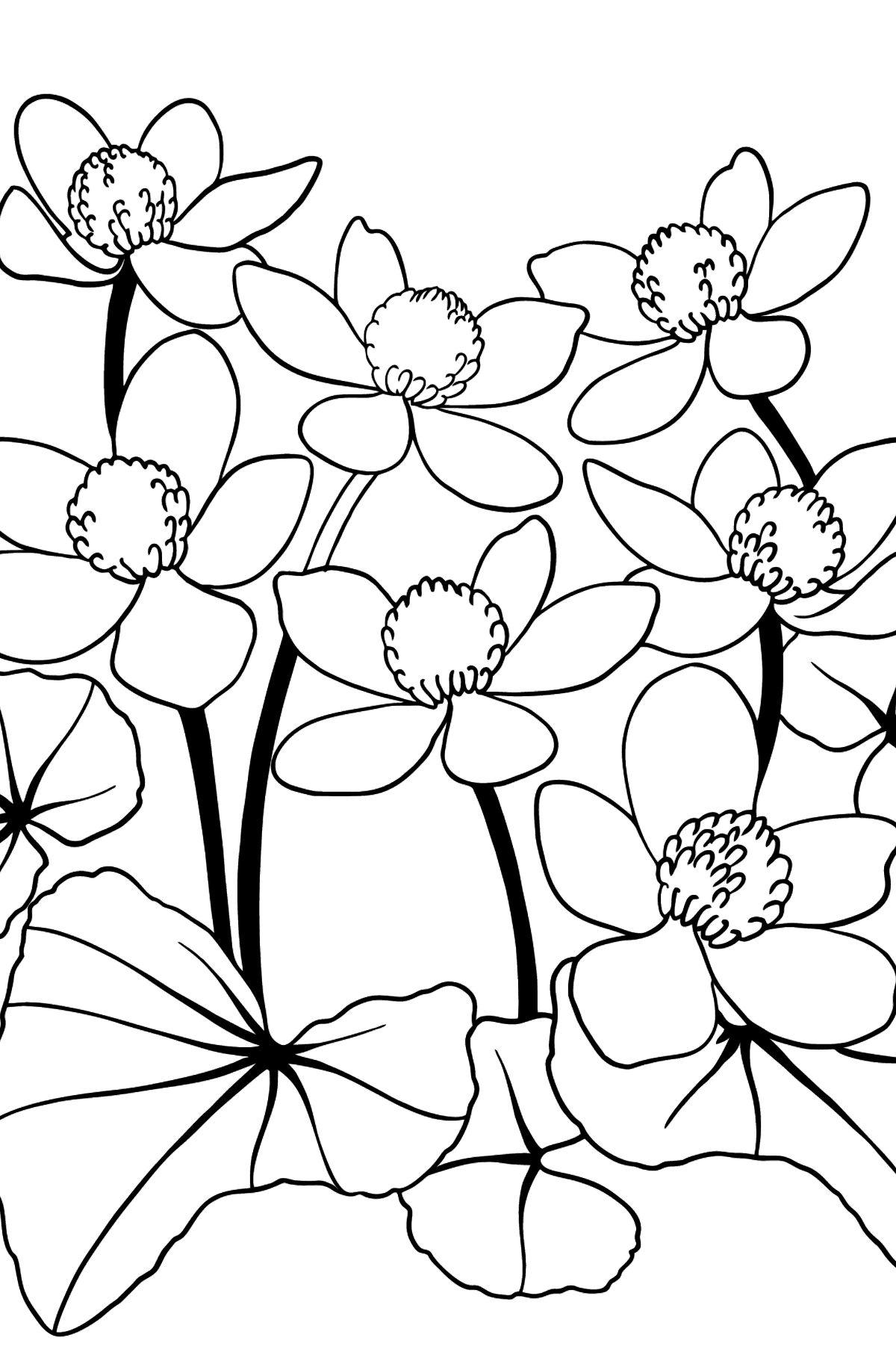 Tegning til fargelegging sjarmerende blomster (vanskelig) - Tegninger til fargelegging for barn