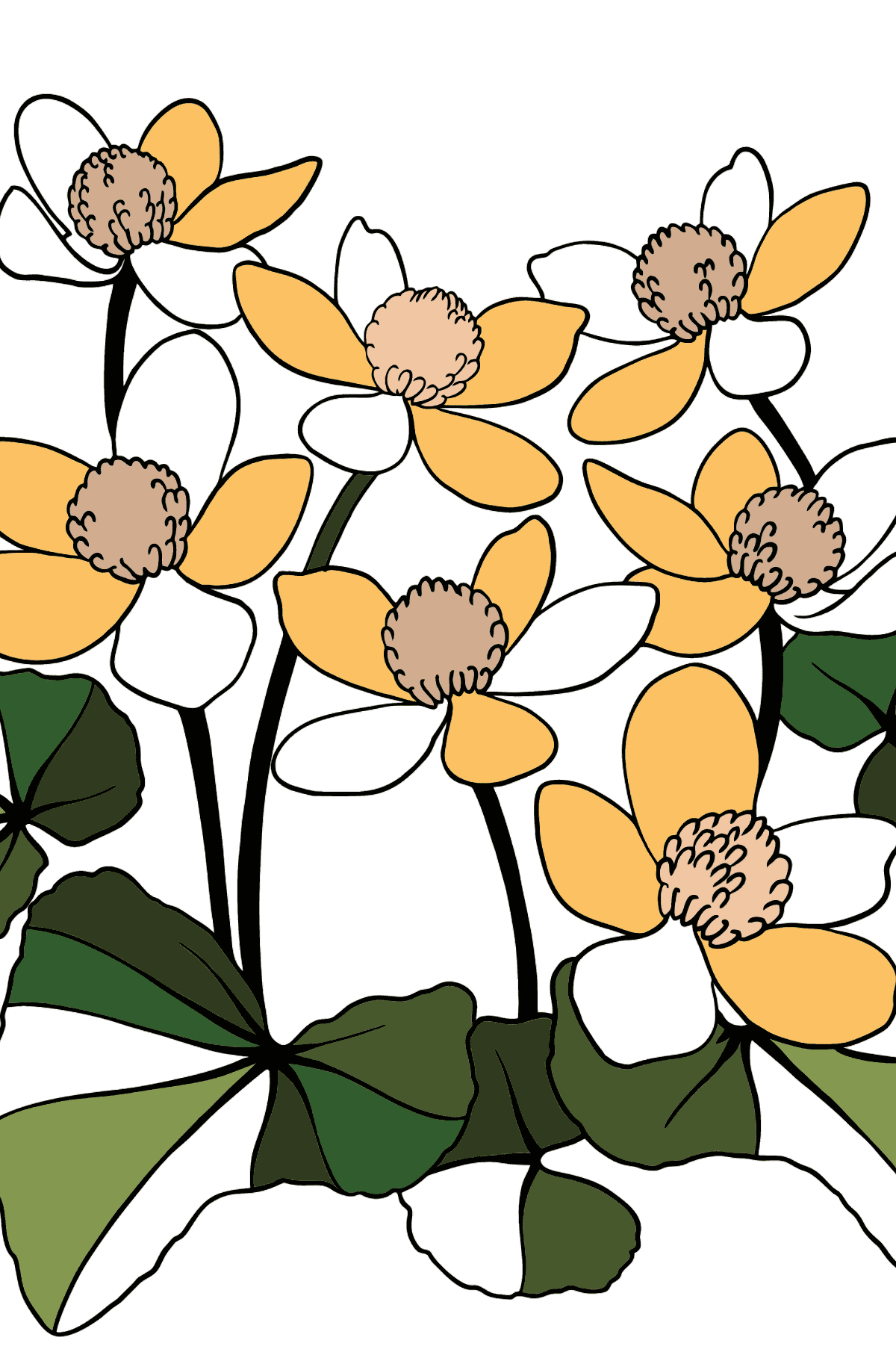 Botón de Oro con Pétalos Amarillos para Colorear - Dibujos para Colorear para Niños