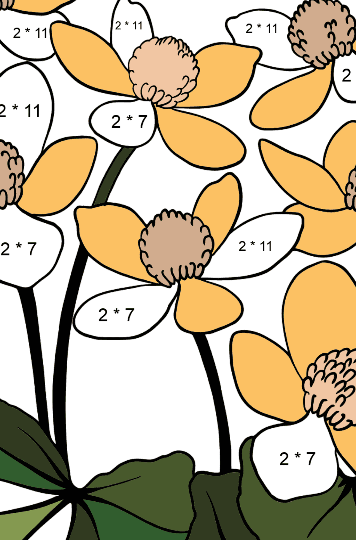 Coloring Page Marsh Marigold - Math Coloring - Multiplication for Kids