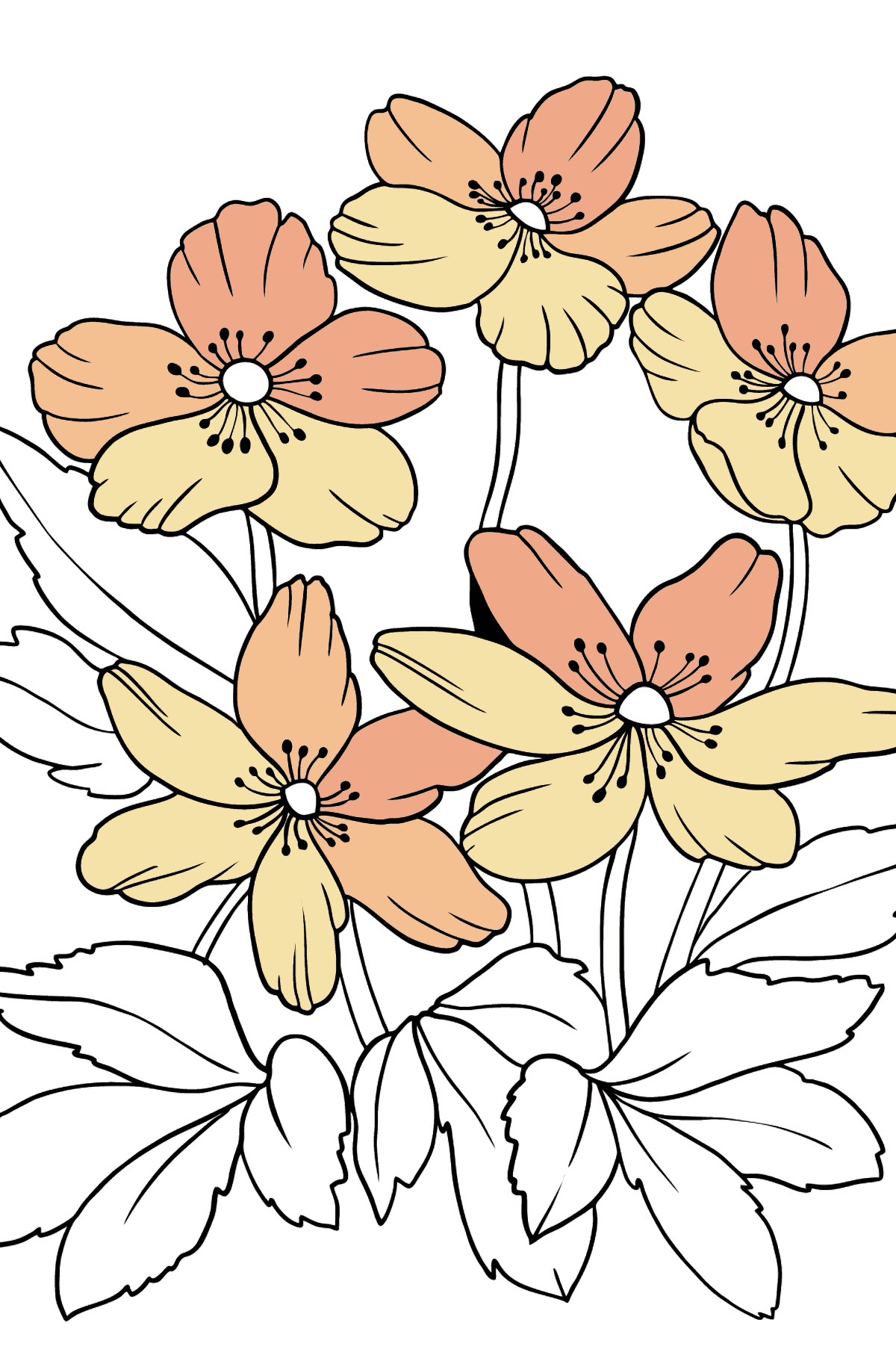 Flower Coloring Page - A Pastel Yellow Windflower - Coloring Pages for Kids