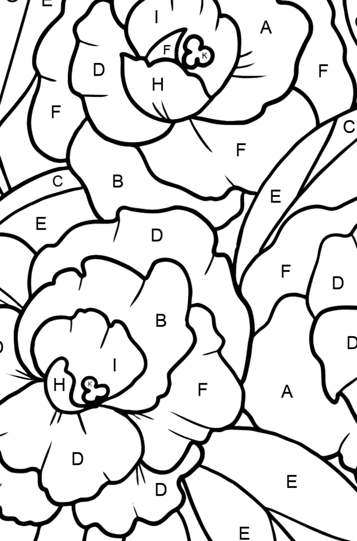 Flower Coloring Page - A Peony Blossom - Coloring by Letters for Kids