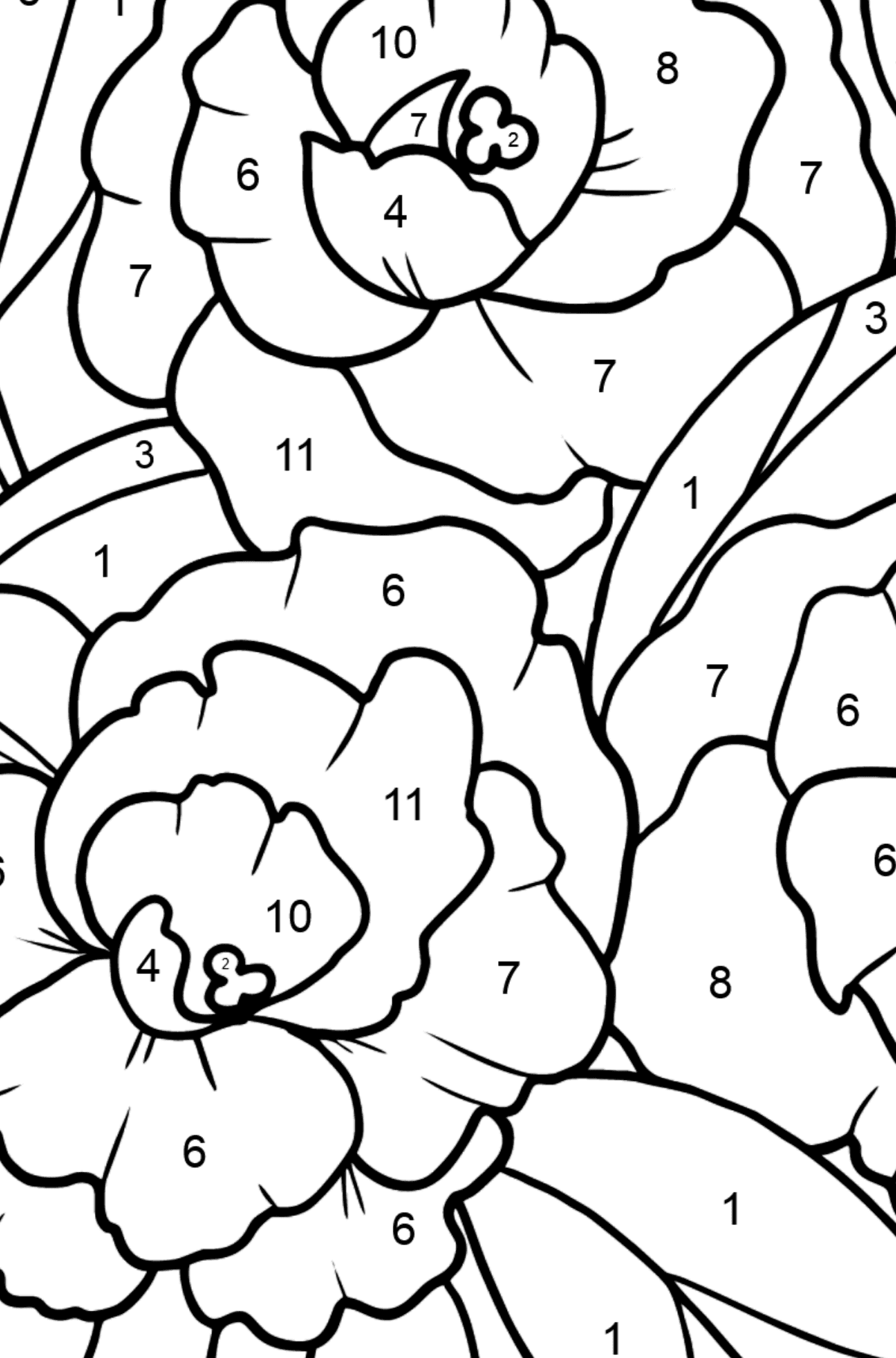 Flower Coloring Page - A Peony Blossom - Coloring by Numbers for Kids
