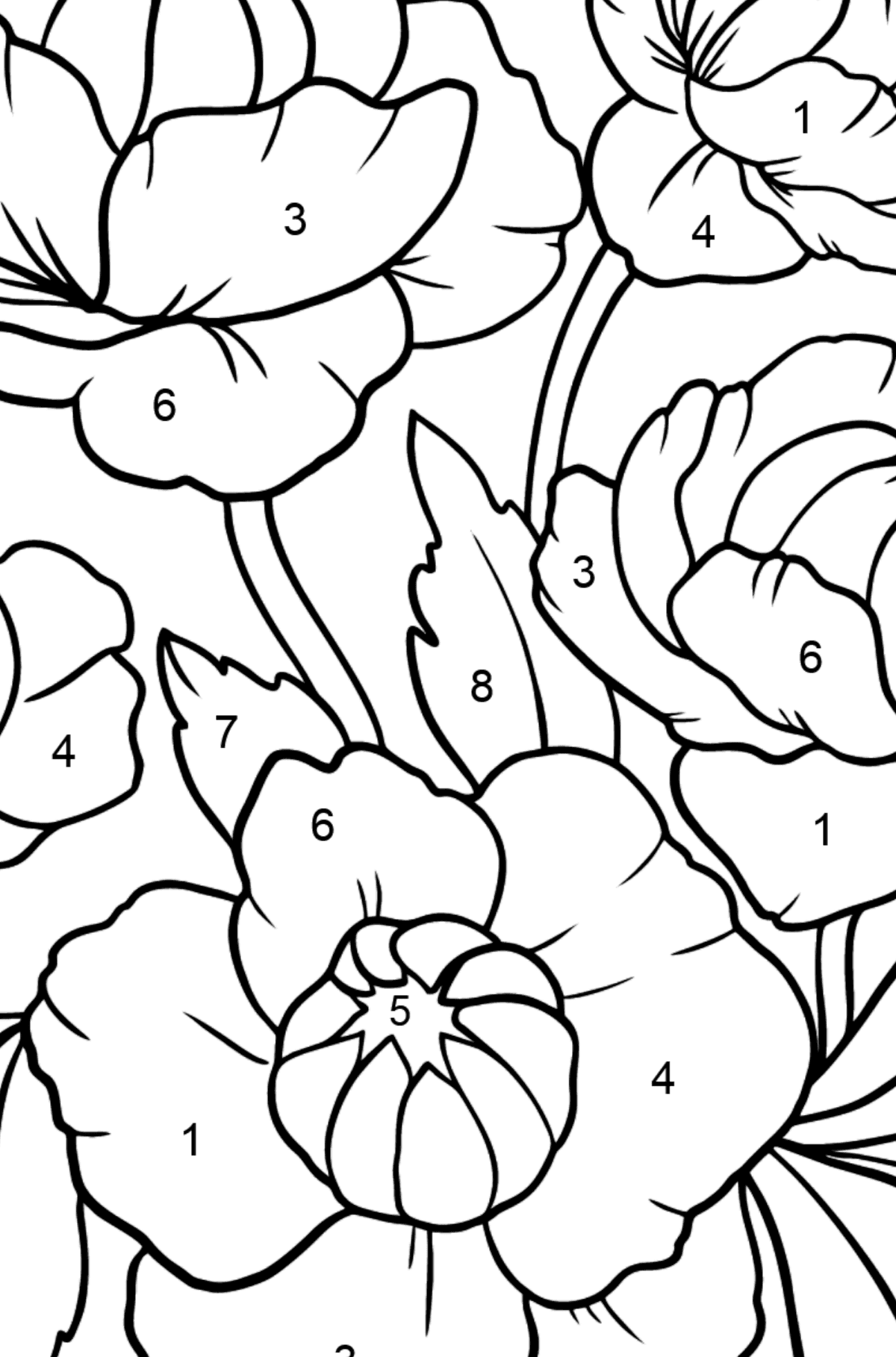 Flower Coloring Page - A Pink Globeflower - Coloring by Numbers for Kids