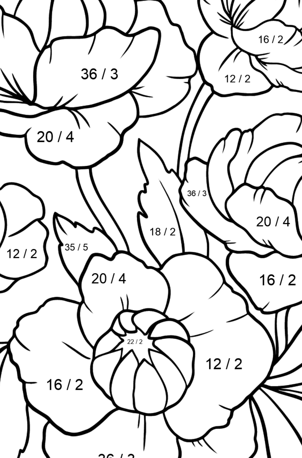 Flower Coloring Page - A Pink Globeflower - Math Coloring - Division for Kids