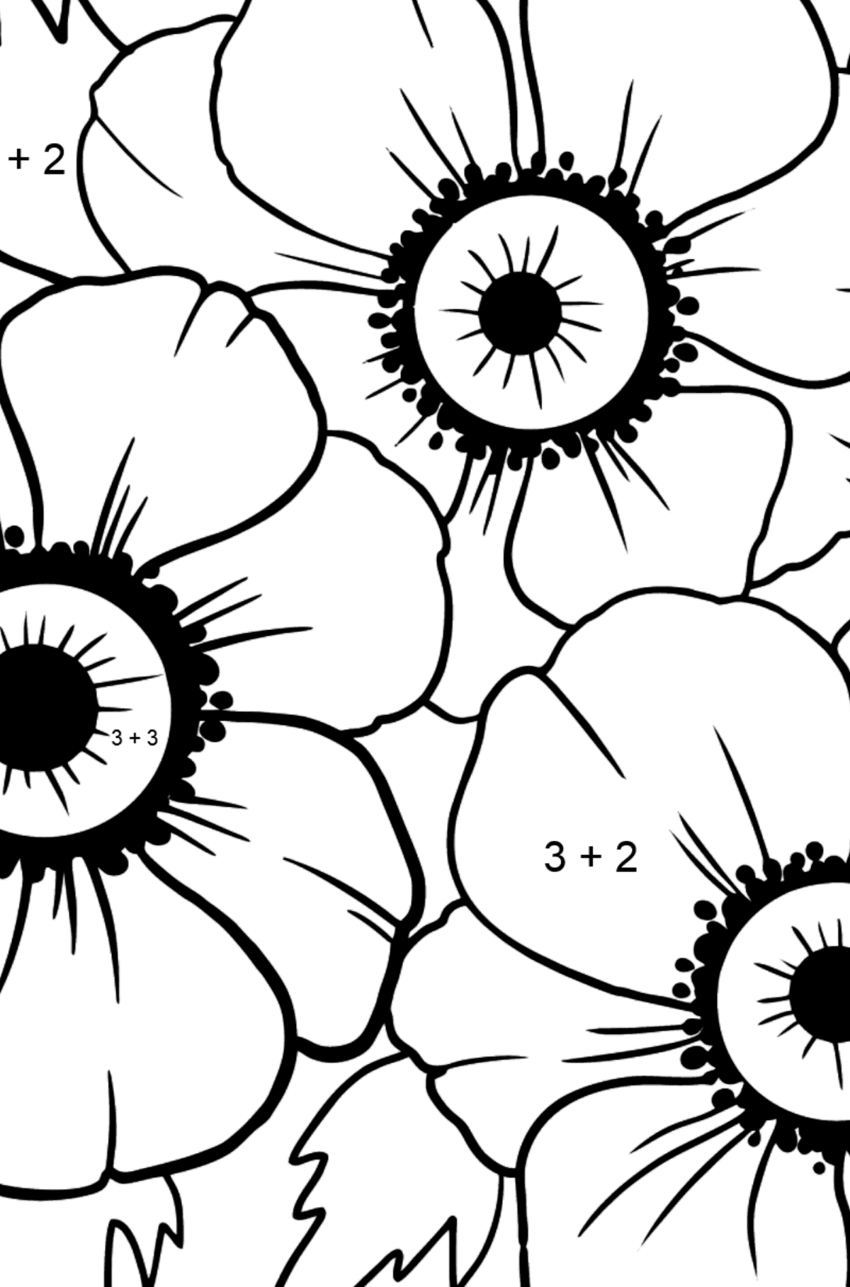 Coloring Page with big flower - A Red and Pink Anemone Coronaria - Math Coloring - Addition for Kids