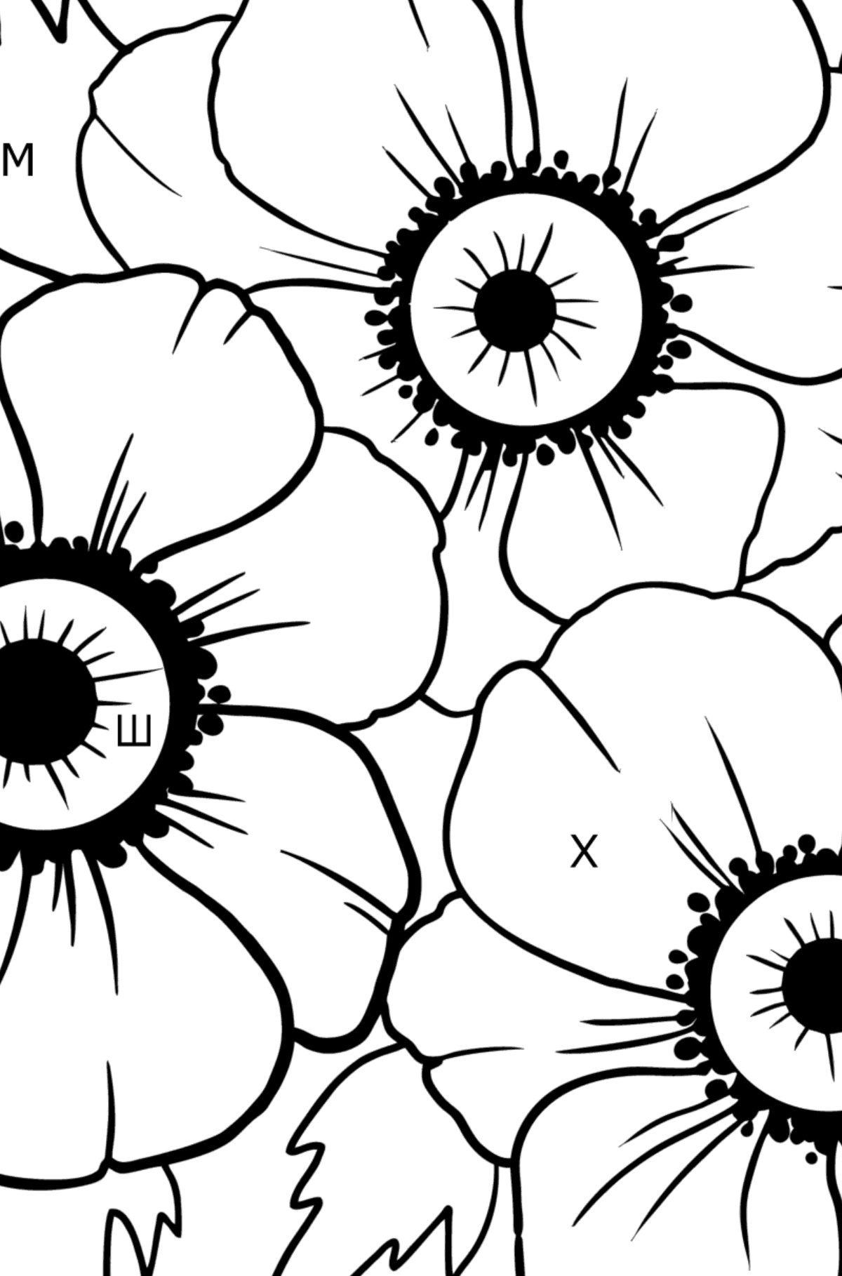 Забарвлення Квіти для друку - Розмальовки за літерами для дітей