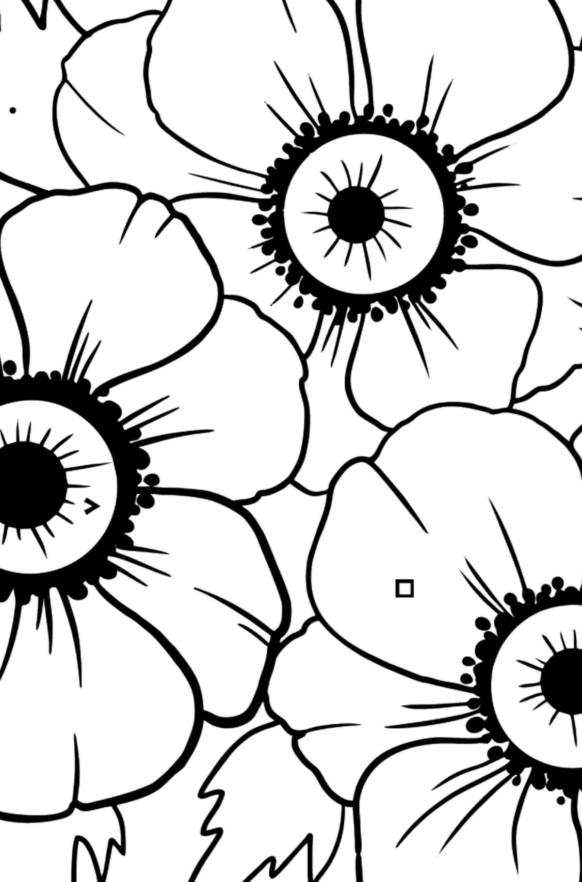 Coloring Page with big flower - A Red and Pink Anemone Coronaria - Coloring by Symbols for Kids