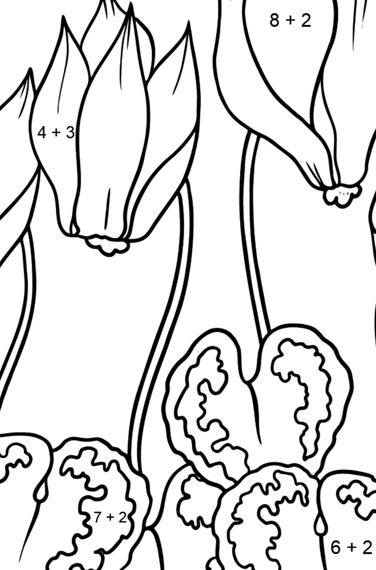 Coloring Page Red and Pink Cyclamen - Math Coloring - Addition for Kids