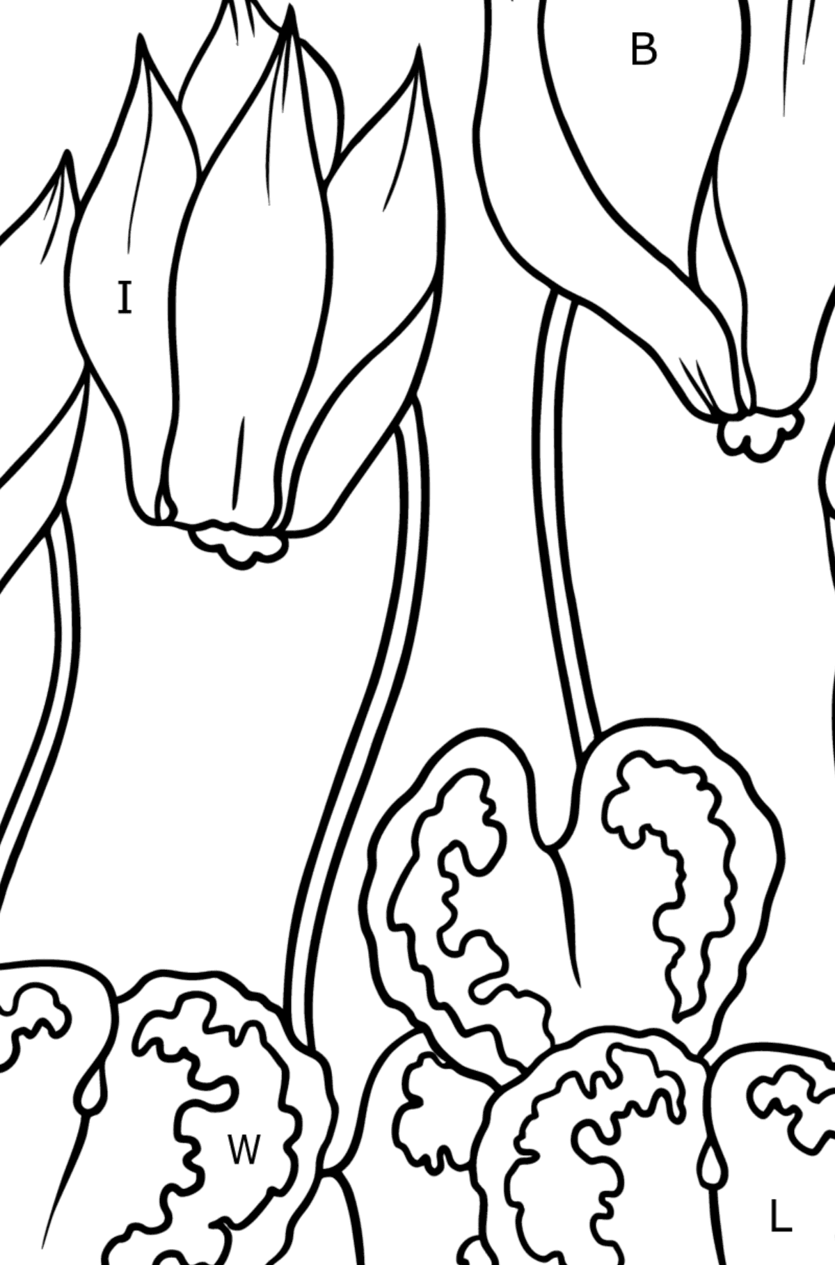 Tegning til farvning Cyclamen blomst (let) - Farvelægning af brevene for børn