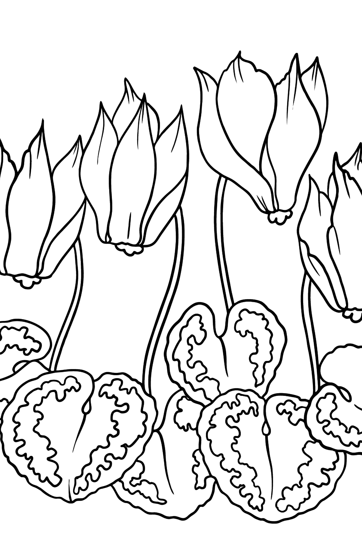 Mewarnai gambar Bunga Cyclamen (mudah) - Mewarnai gambar untuk anak-anak