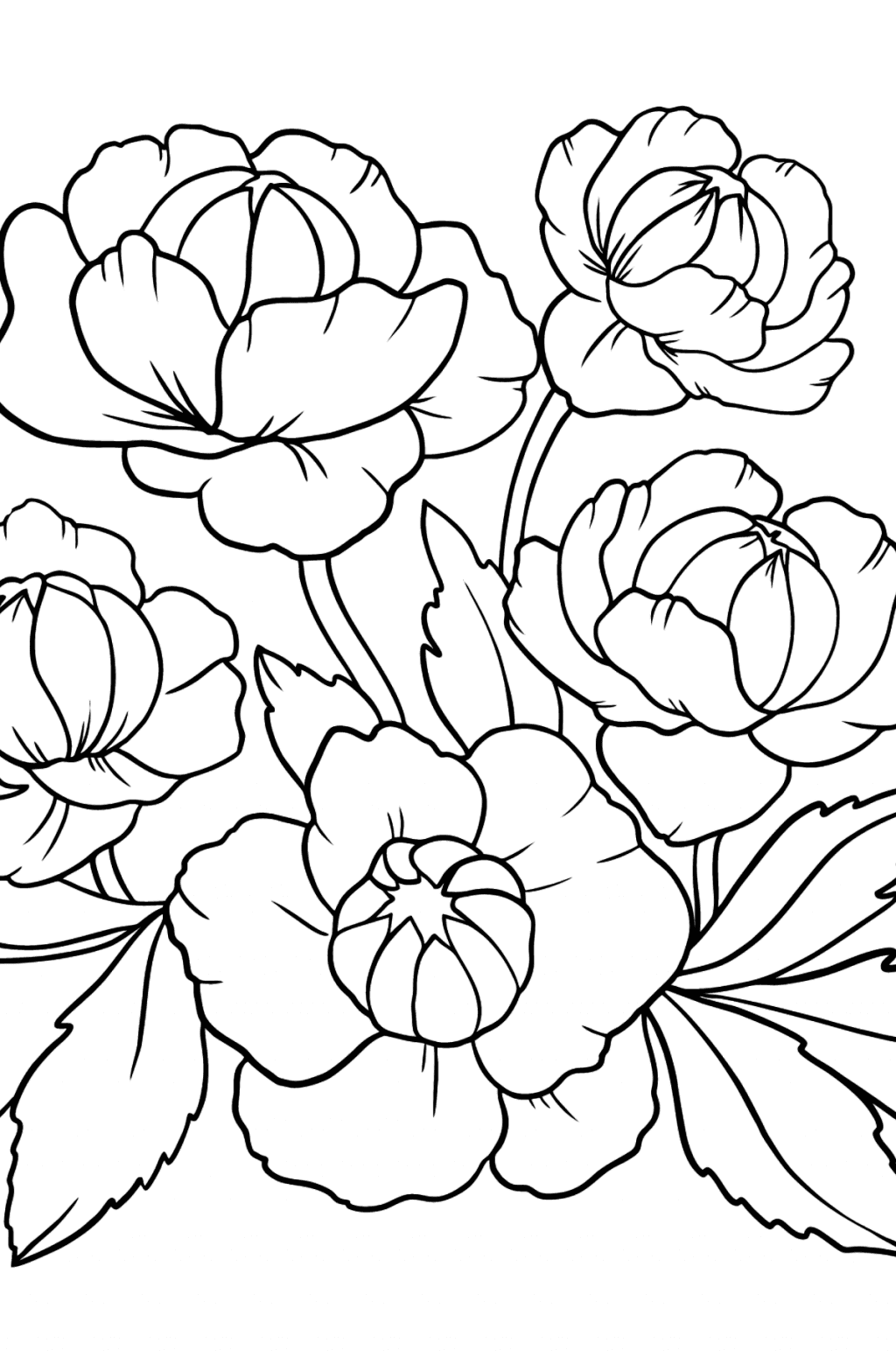 Red and Pink Globeflower Coloring Page ♥ Online and Print for Free!