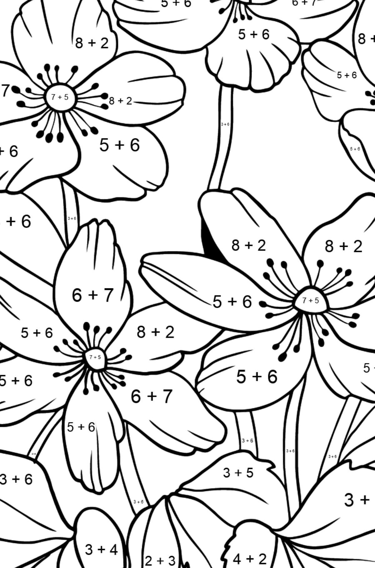 Omalovánka květiny Sasanka (složitě) - Matematická Omalovánka - Sčítání pro děti