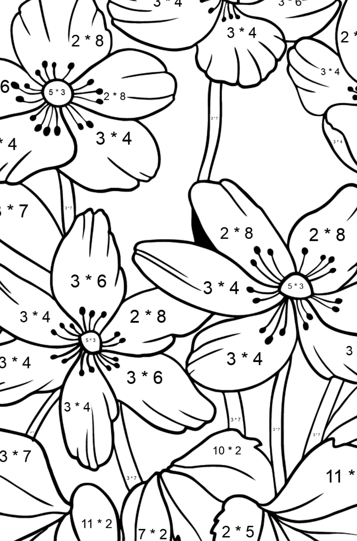 Omalovánka květiny Sasanka (složitě) - Matematická Omalovánka - Násobení pro děti