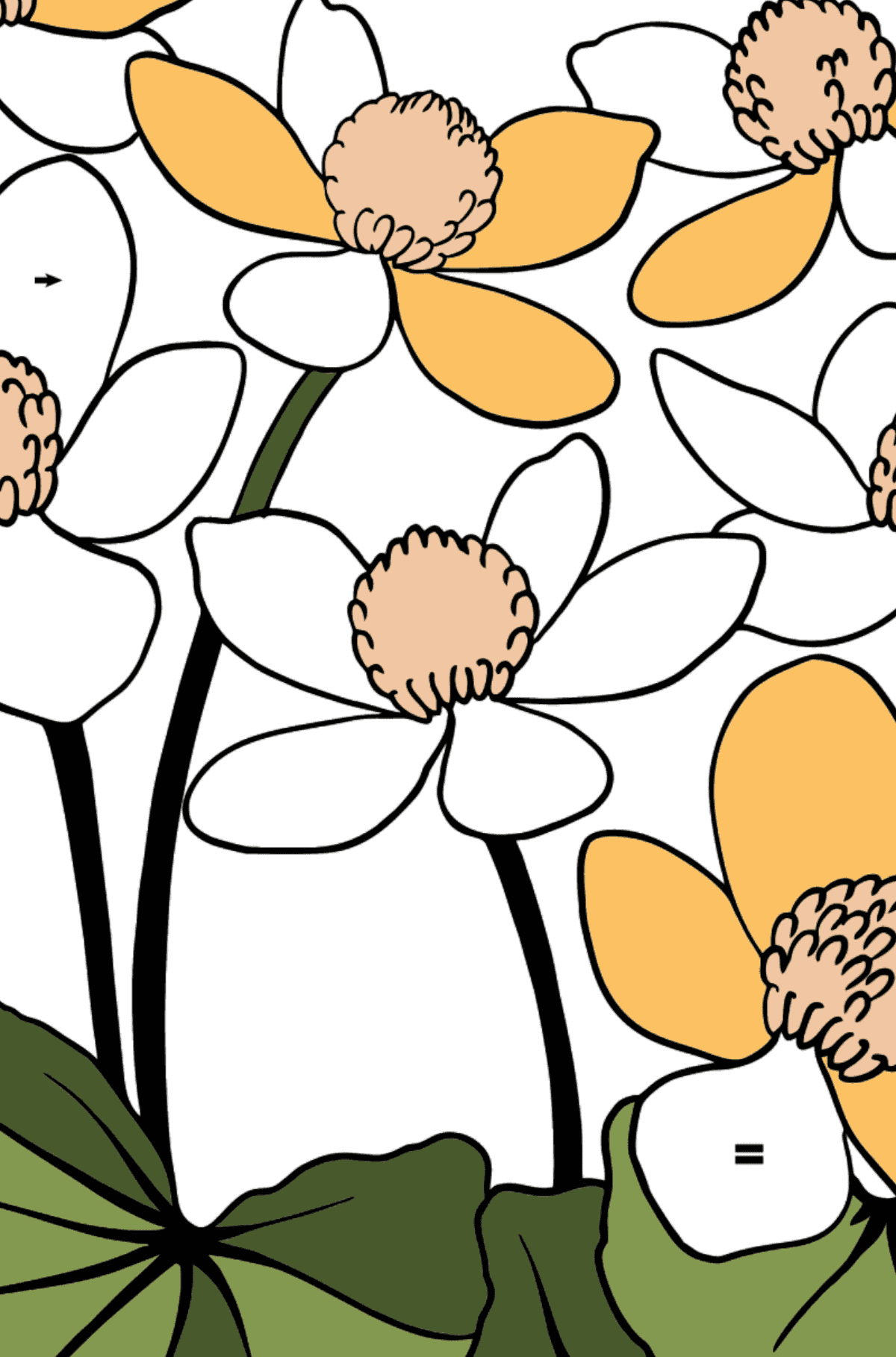 Coloring Page Yellow and Red Marsh Marigold - Coloring by Symbols for Kids