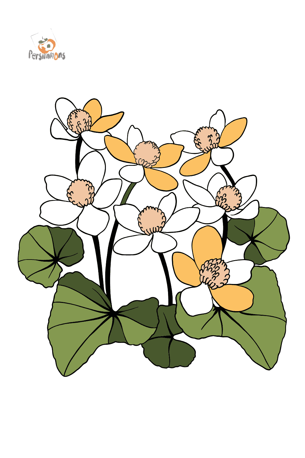 Colouring Page Yellow and Red Marsh Marigold ♥ Online and Print!
