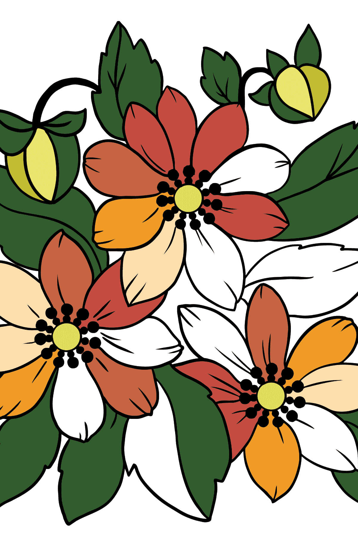 Flower Coloring Page - An Orange and Yellow Anemone - Coloring Pages for Kids