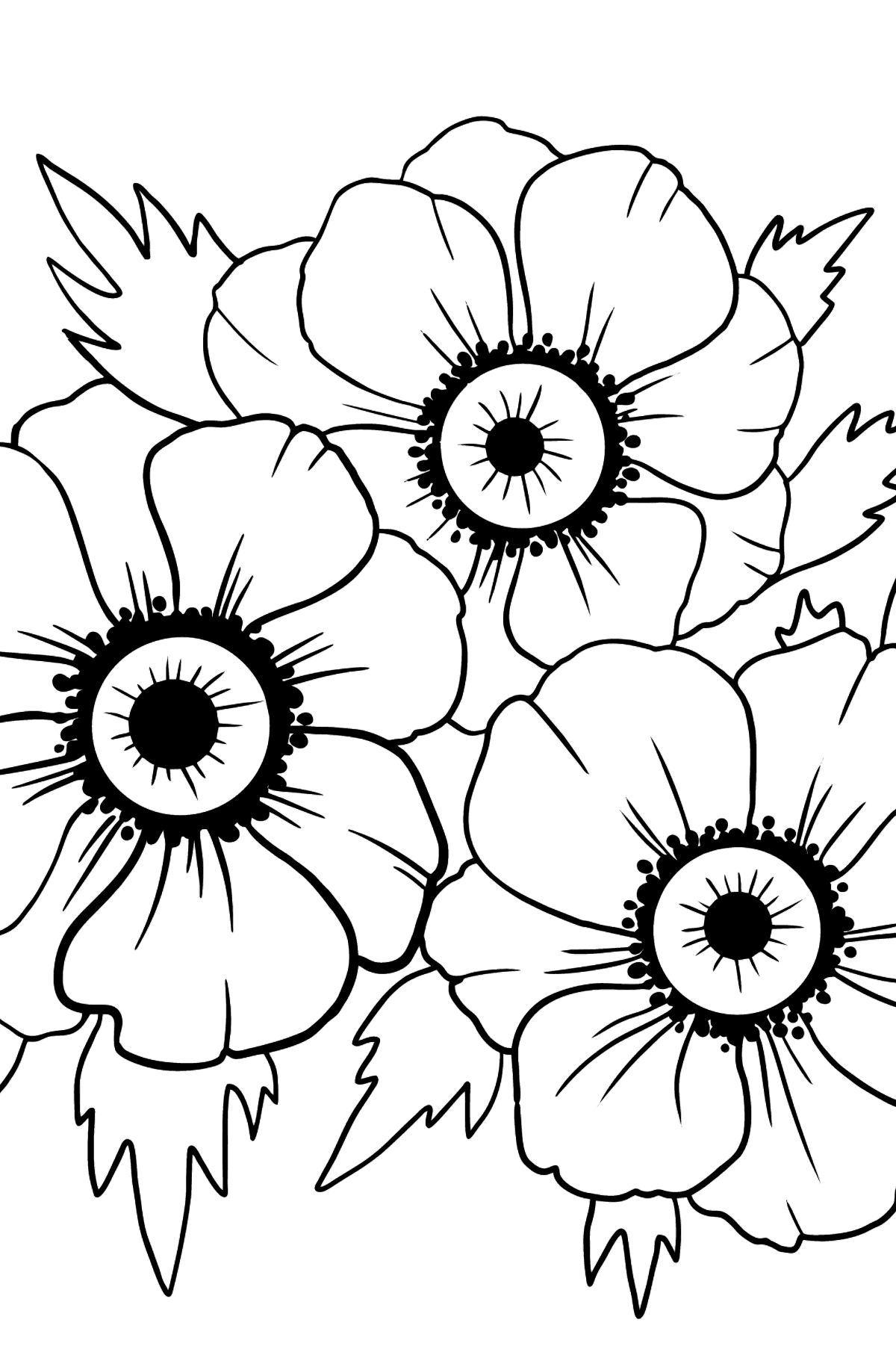 Ausmalbild Blume - Anemone Herr Fokker - Malvorlagen für Kinder