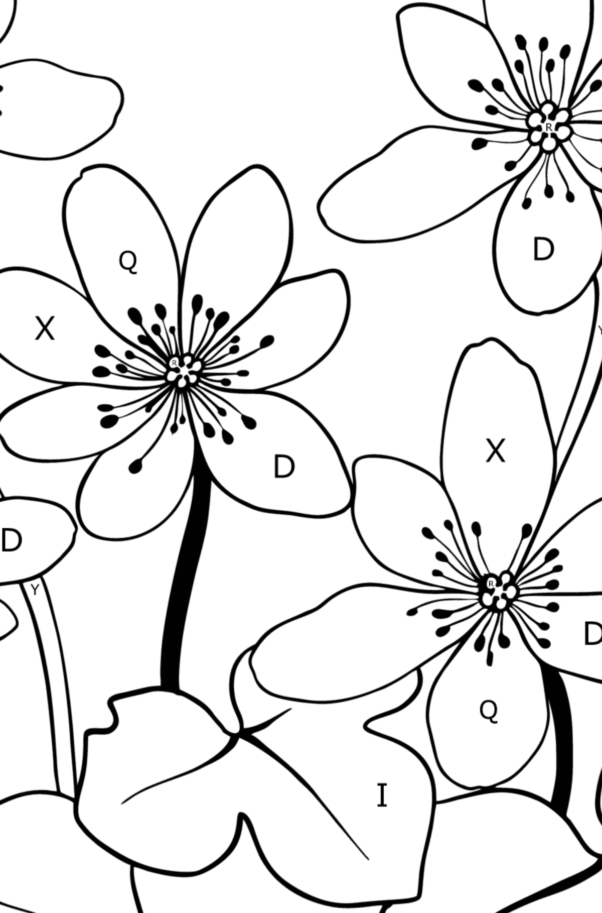 Tegning til farvning blomsterleverurt - Farvelægning af brevene for børn