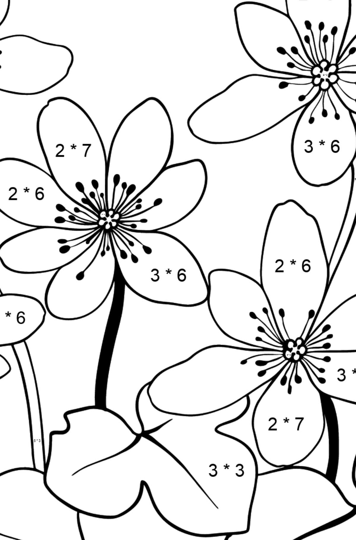 Tegning til farvning blomsterleverurt - Matematisk farvelægning side -- Multiplikation for børn