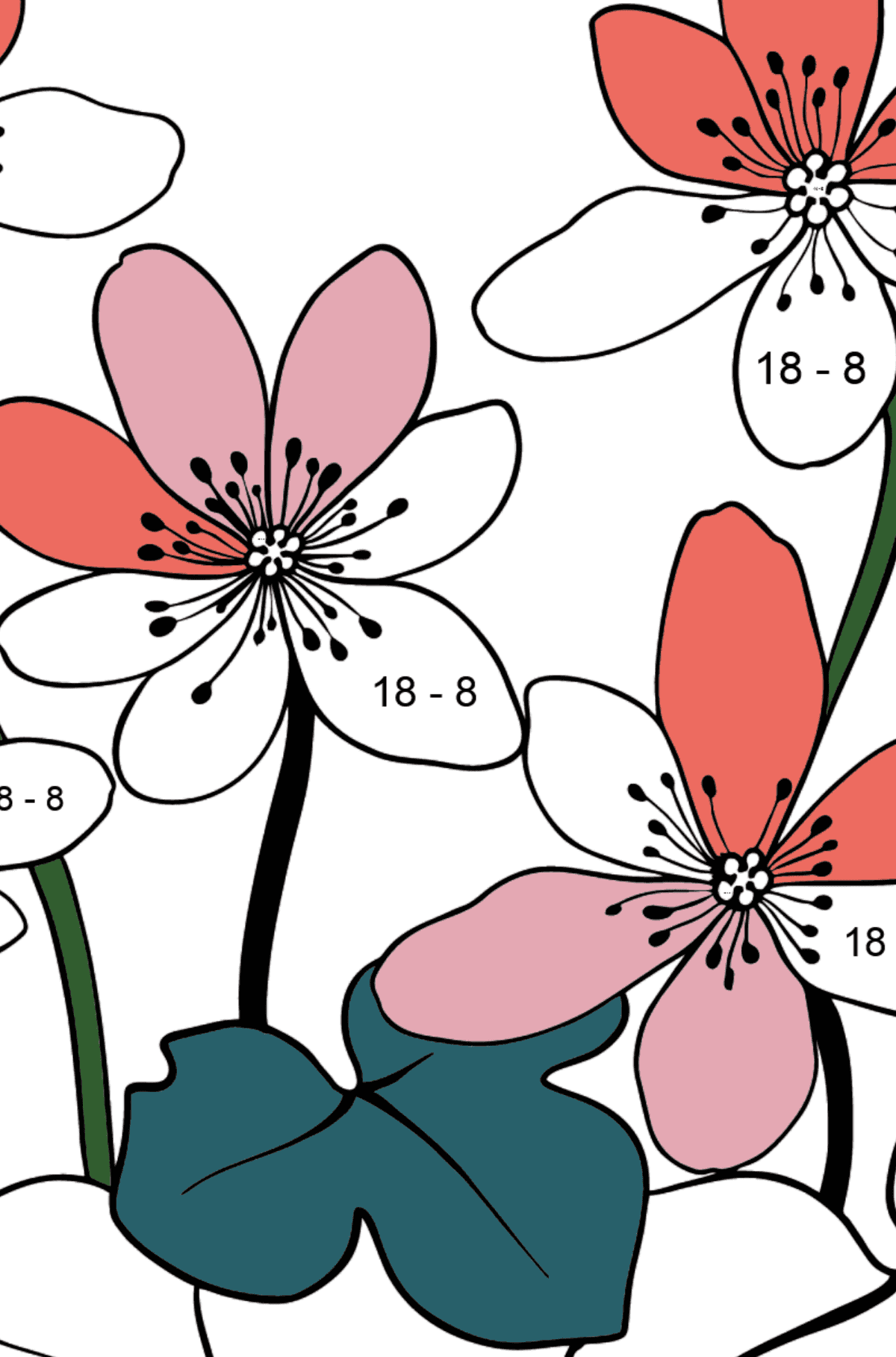 Flower Coloring Page - Hepatica - Math Coloring - Subtraction for Kids