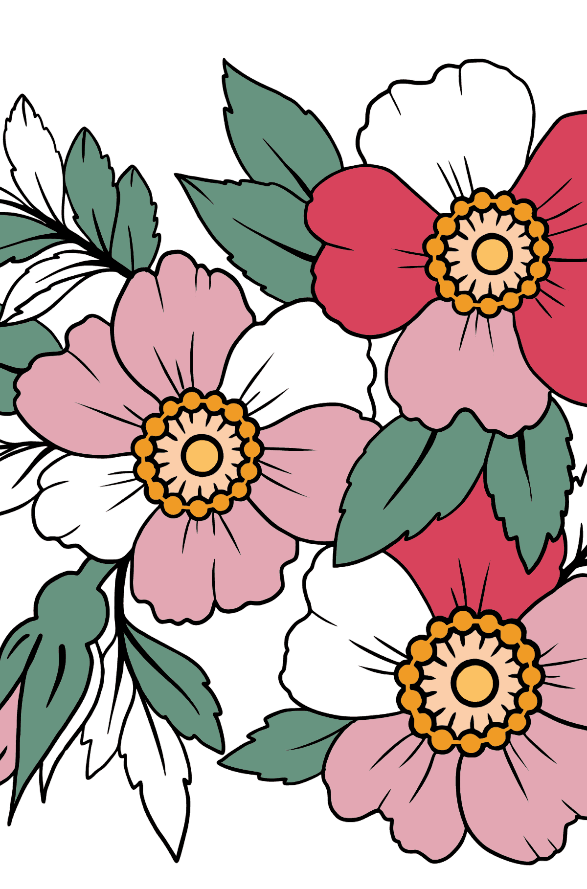 Flower Coloring Page - Japanese Anemone - Coloring Pages for Kids