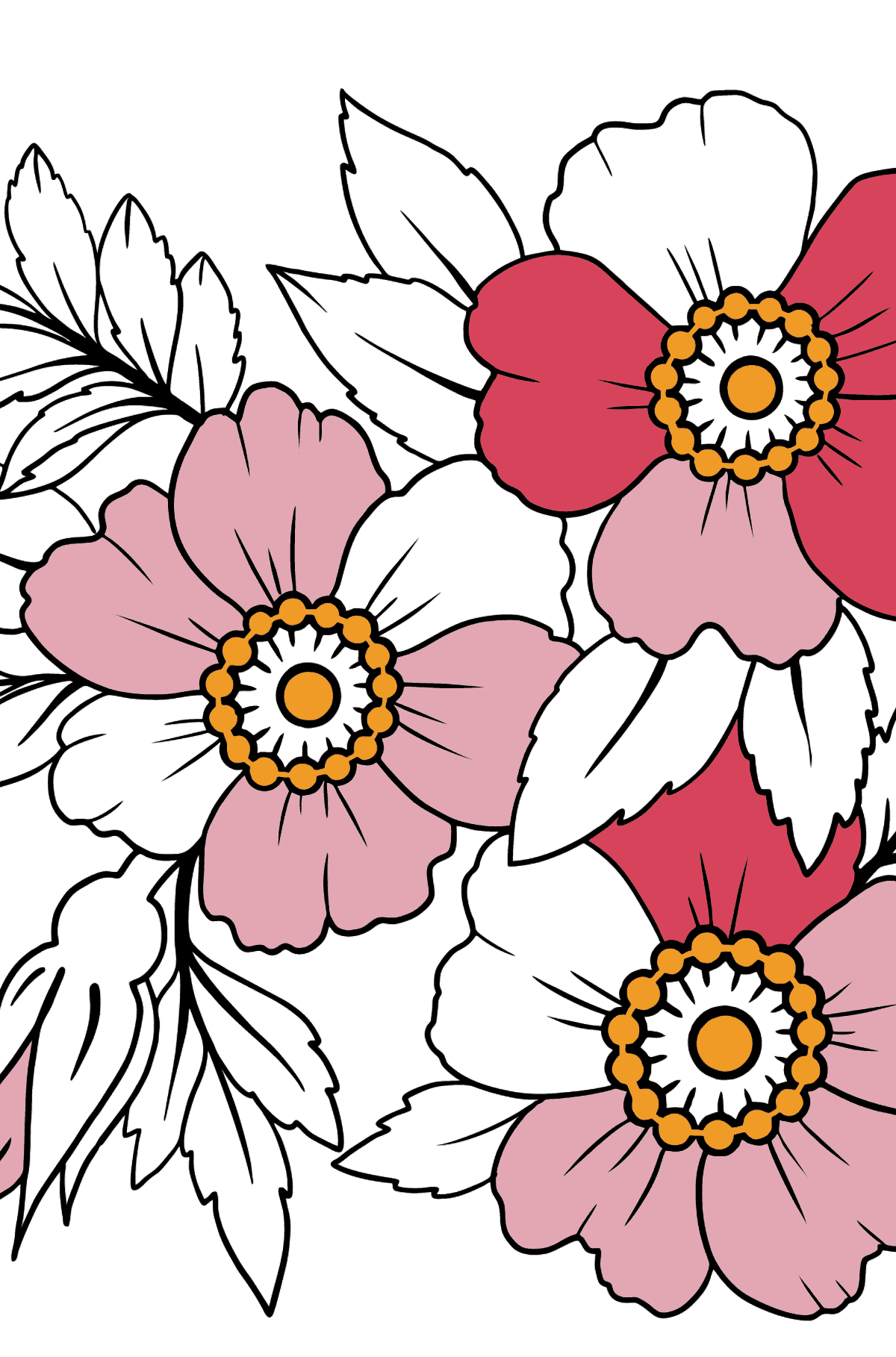 Flower Coloring Page - Japanese Velvet Anemone - Coloring Pages for Kids